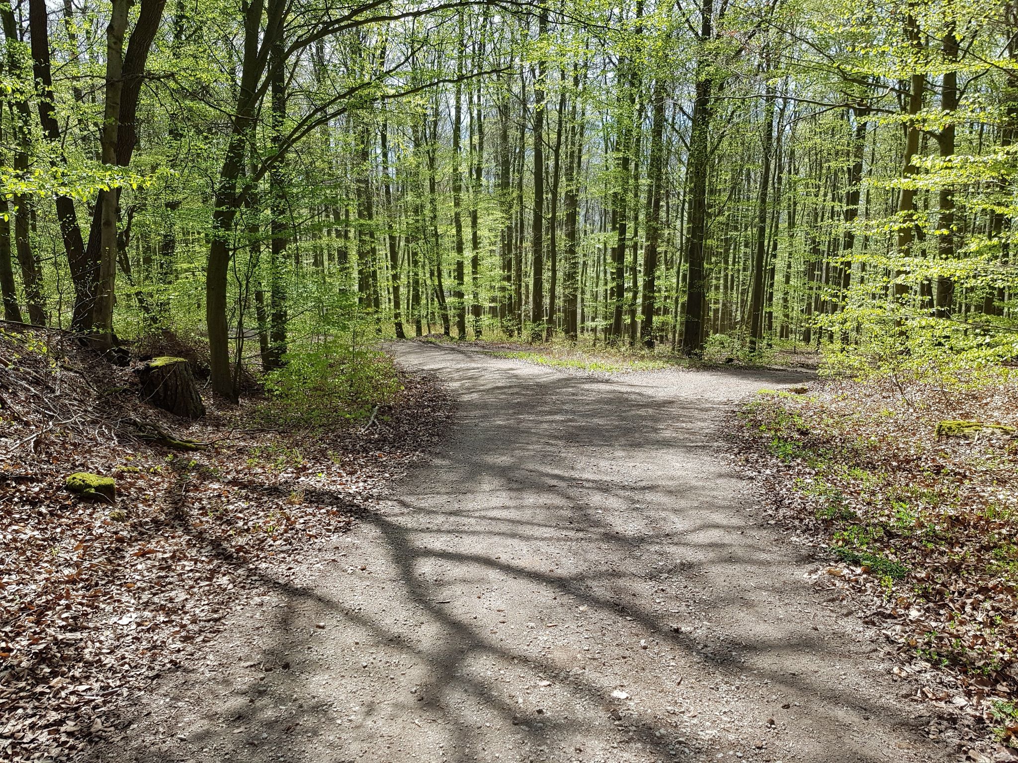  weiter gehts...nach links