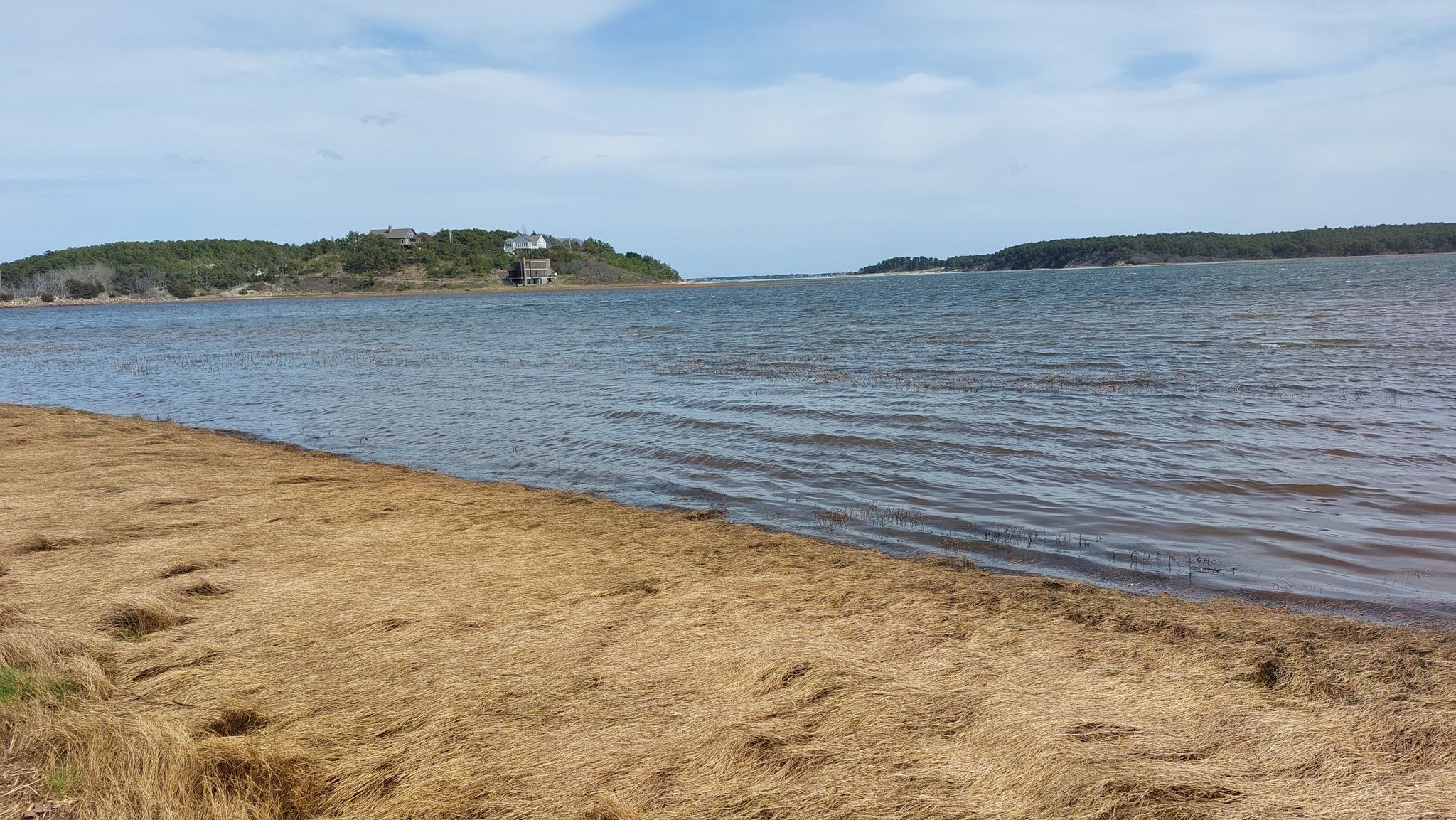 Wide body of water next to a grassy shore, with distant forested land. - Great Island Trail