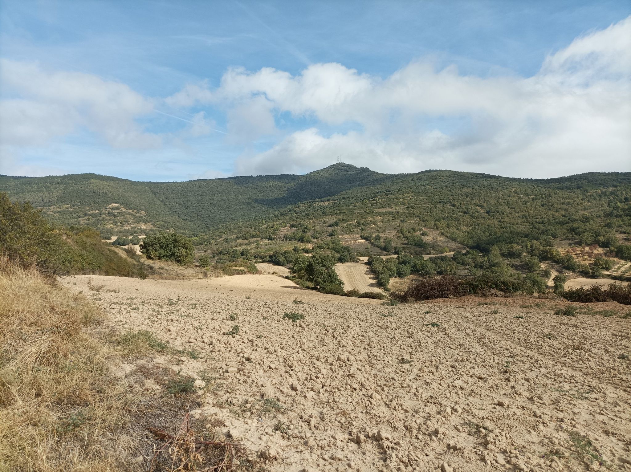 montejurra