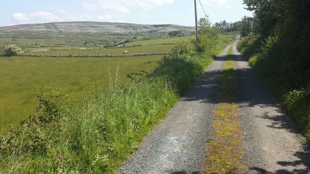 auf dem Carran Loop