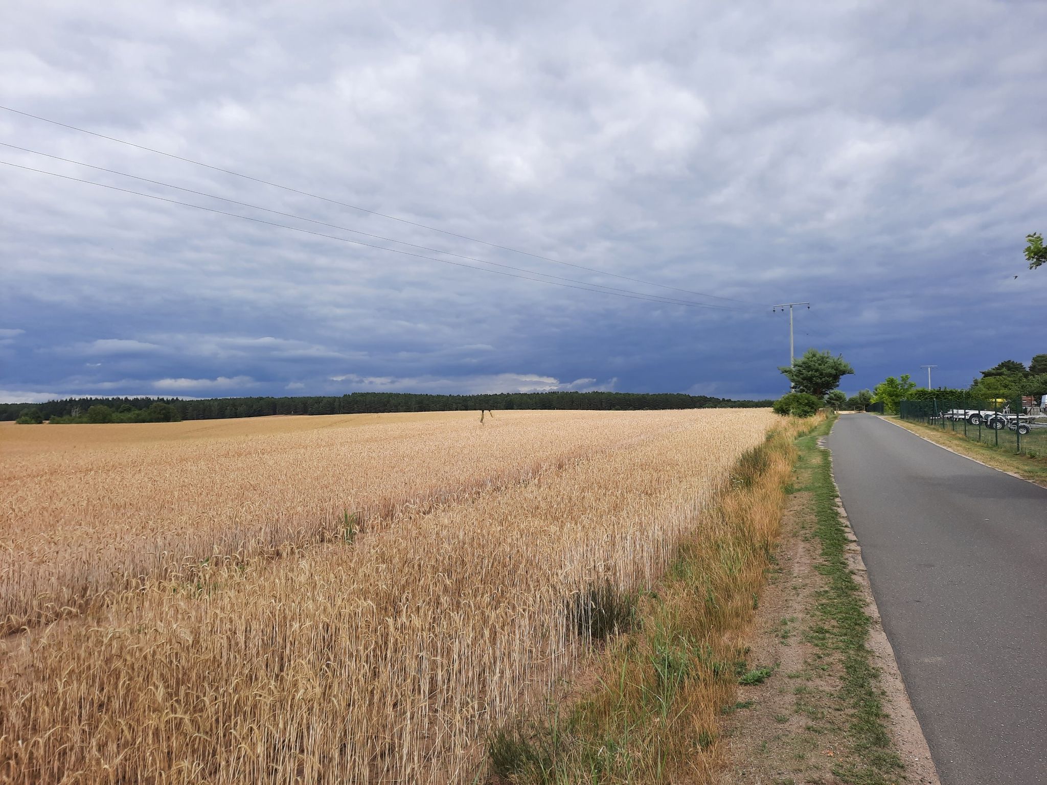 diese Farben