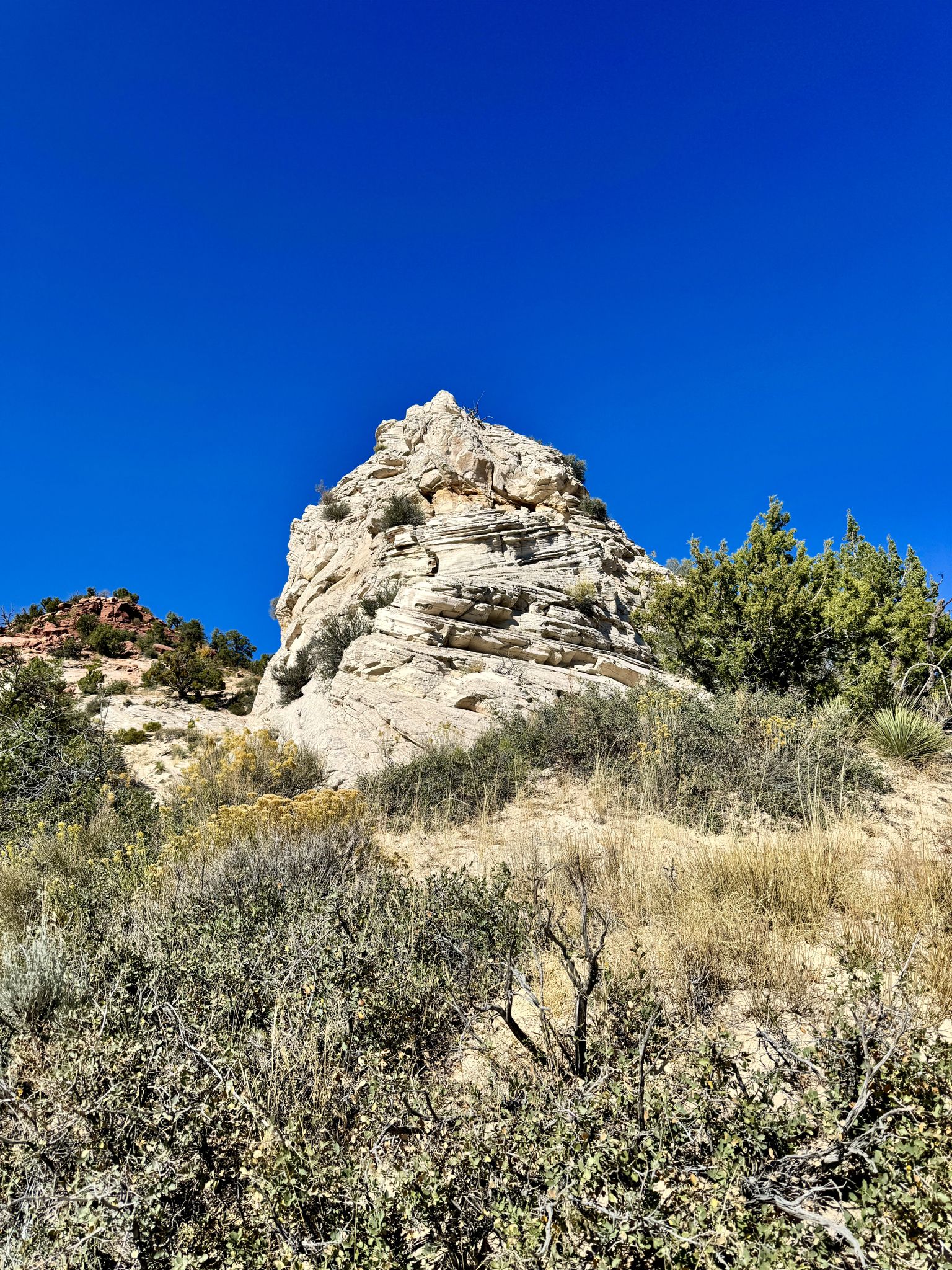 Bright sun illuminates a large, layered rock formation amidst dry scrub brush. - Greenhalgh Trail