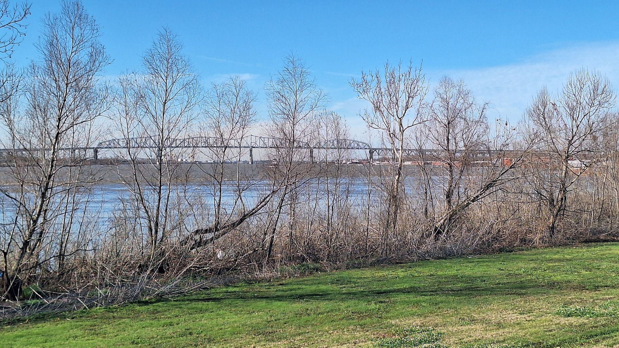 Wide river view with bare trees and a large bridge under blue sky. - Audubon Park loop from Tulane University