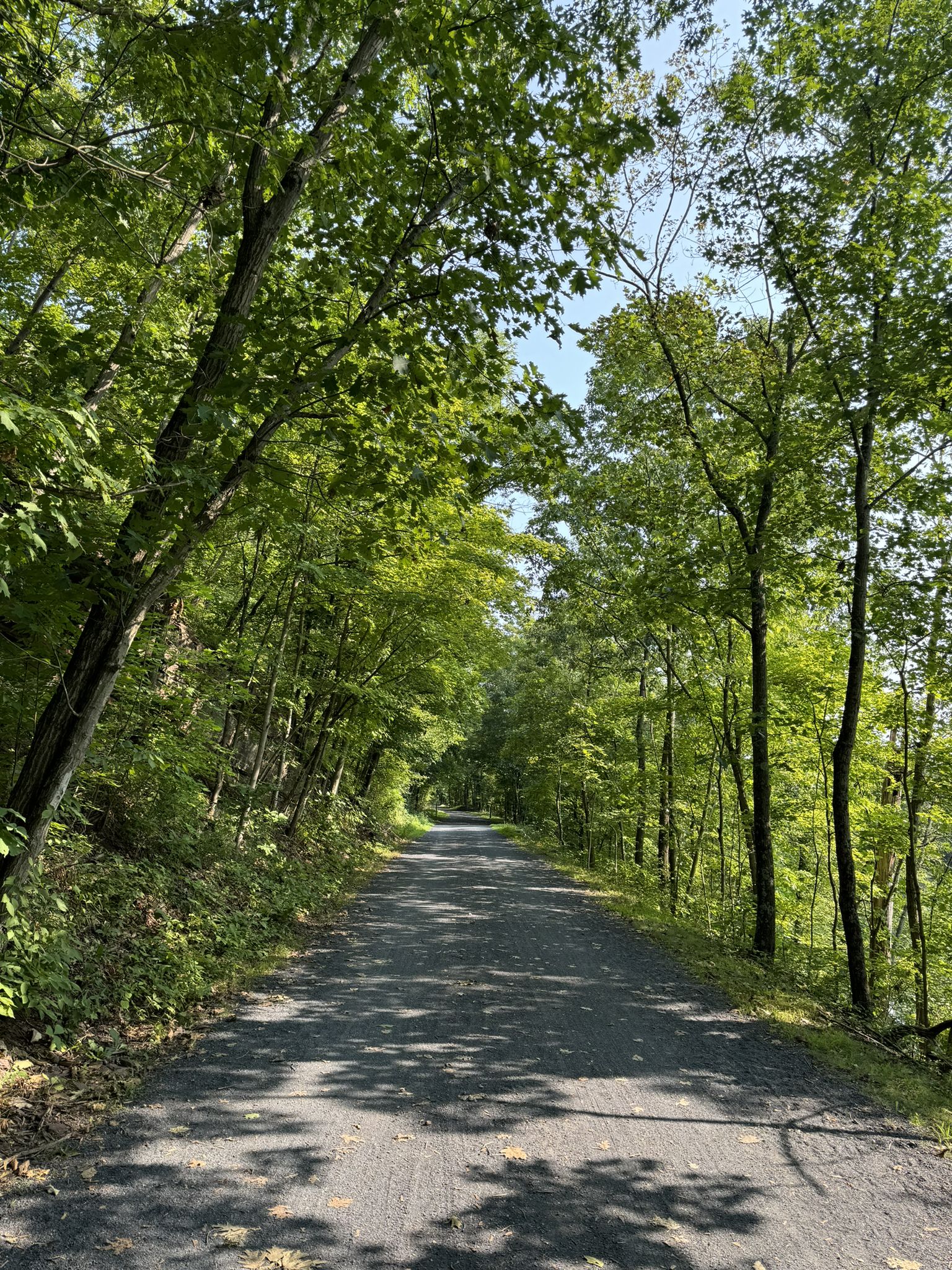 Sunlit gravel path winding through a tunnel of green trees. - Perkiomen Bicycles loop from Green Lane