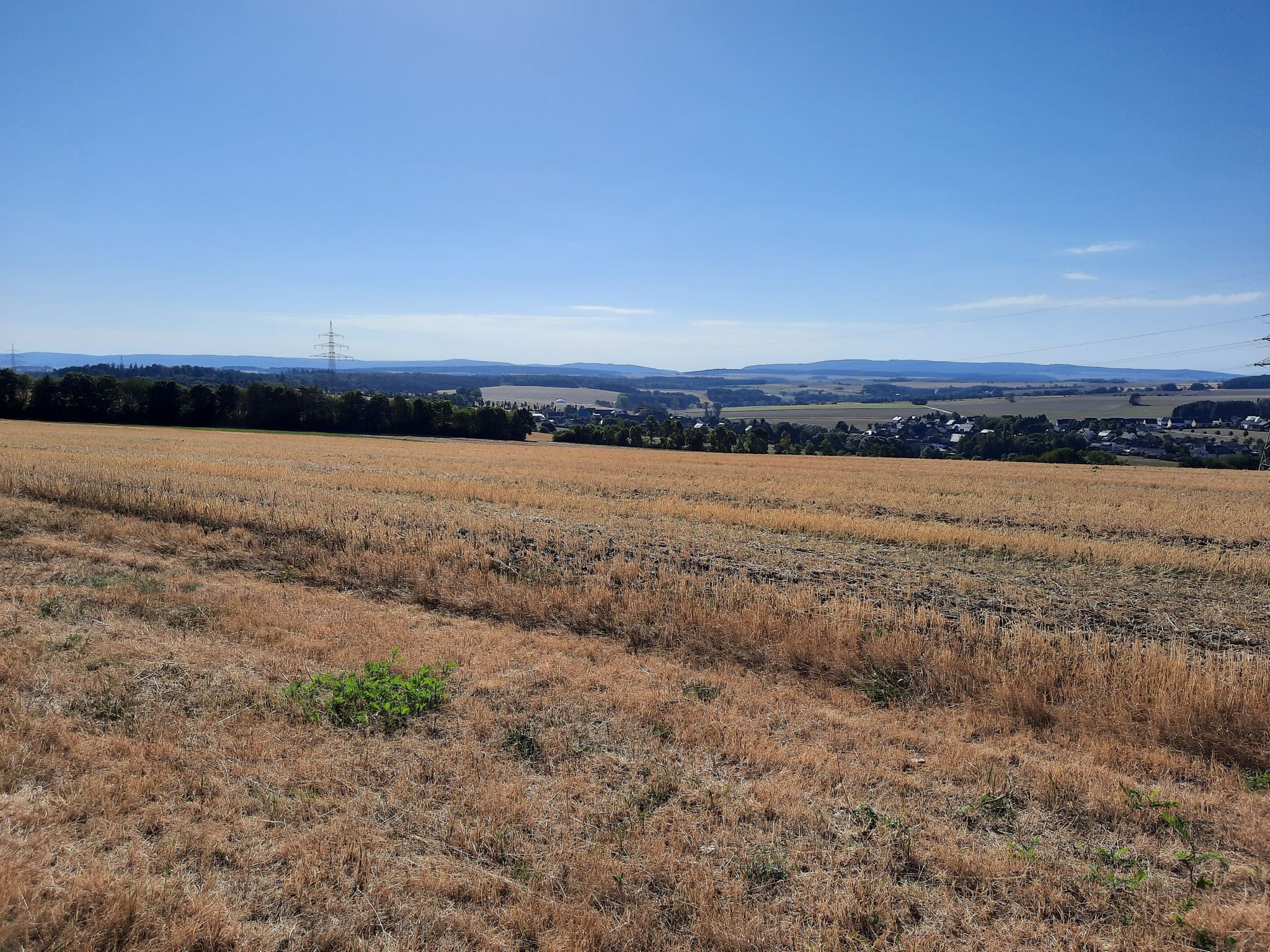 Blick nach vorne.....