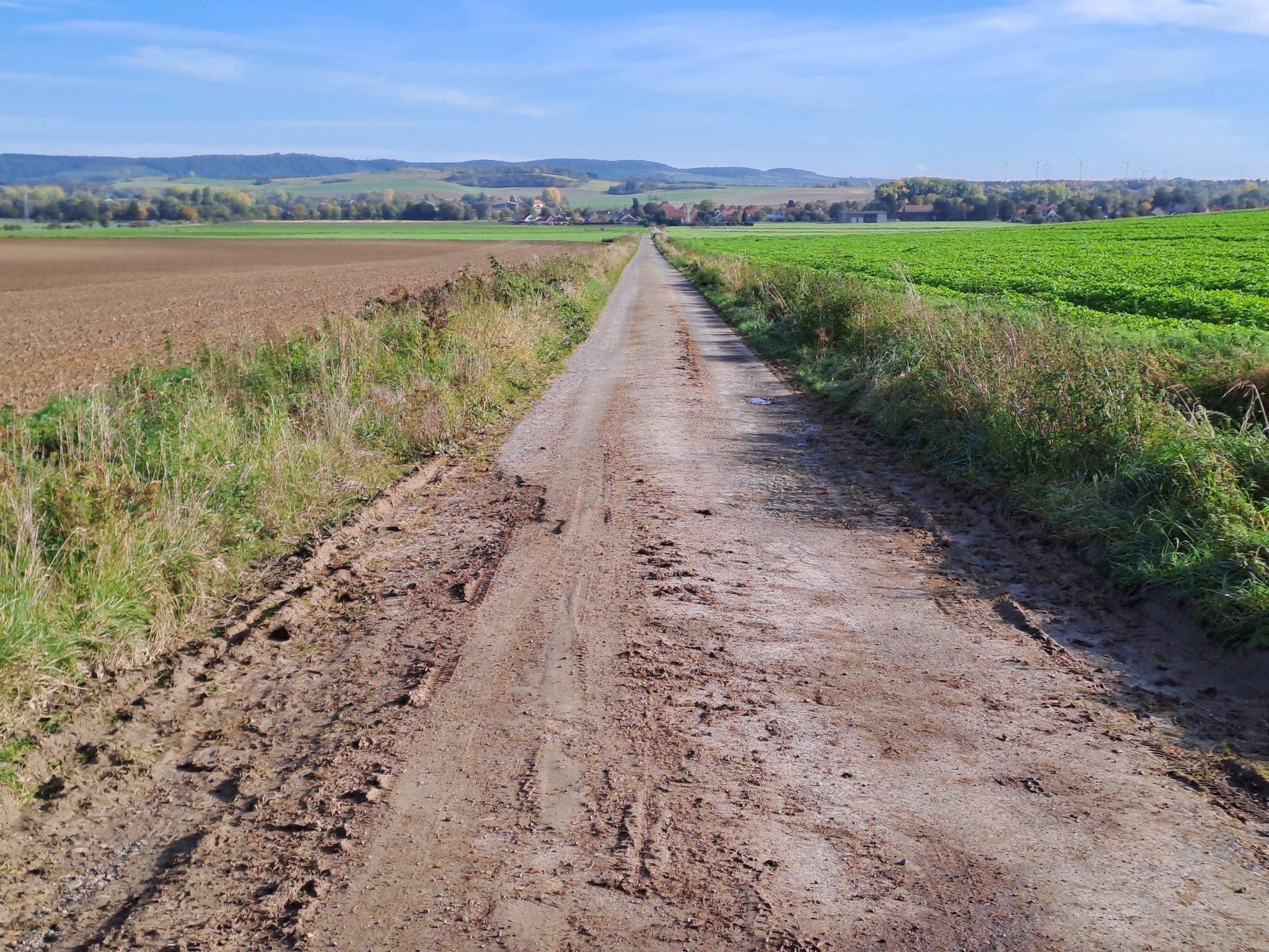 ... nach Ohrum ->