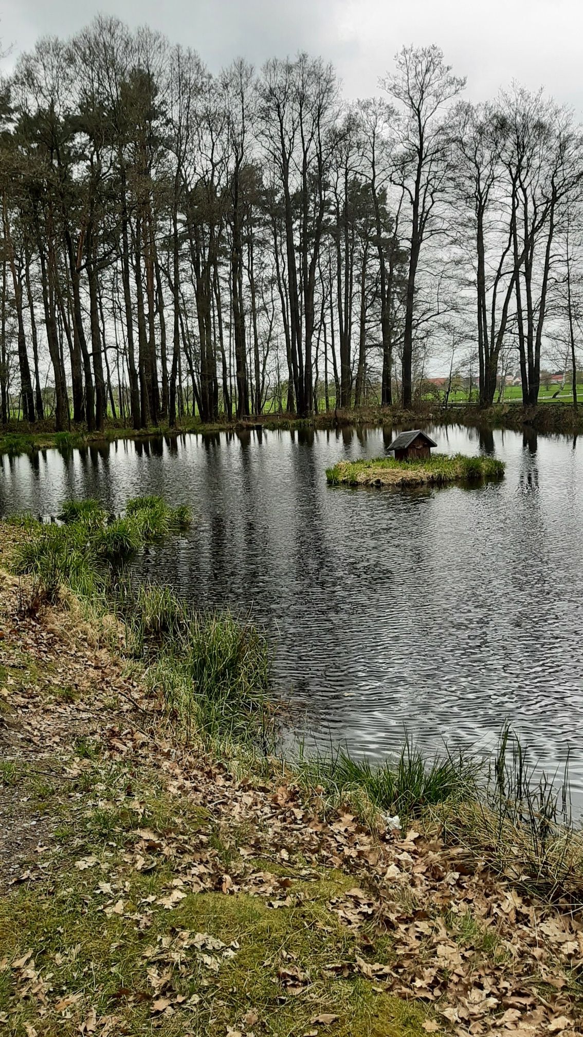 Eckteich