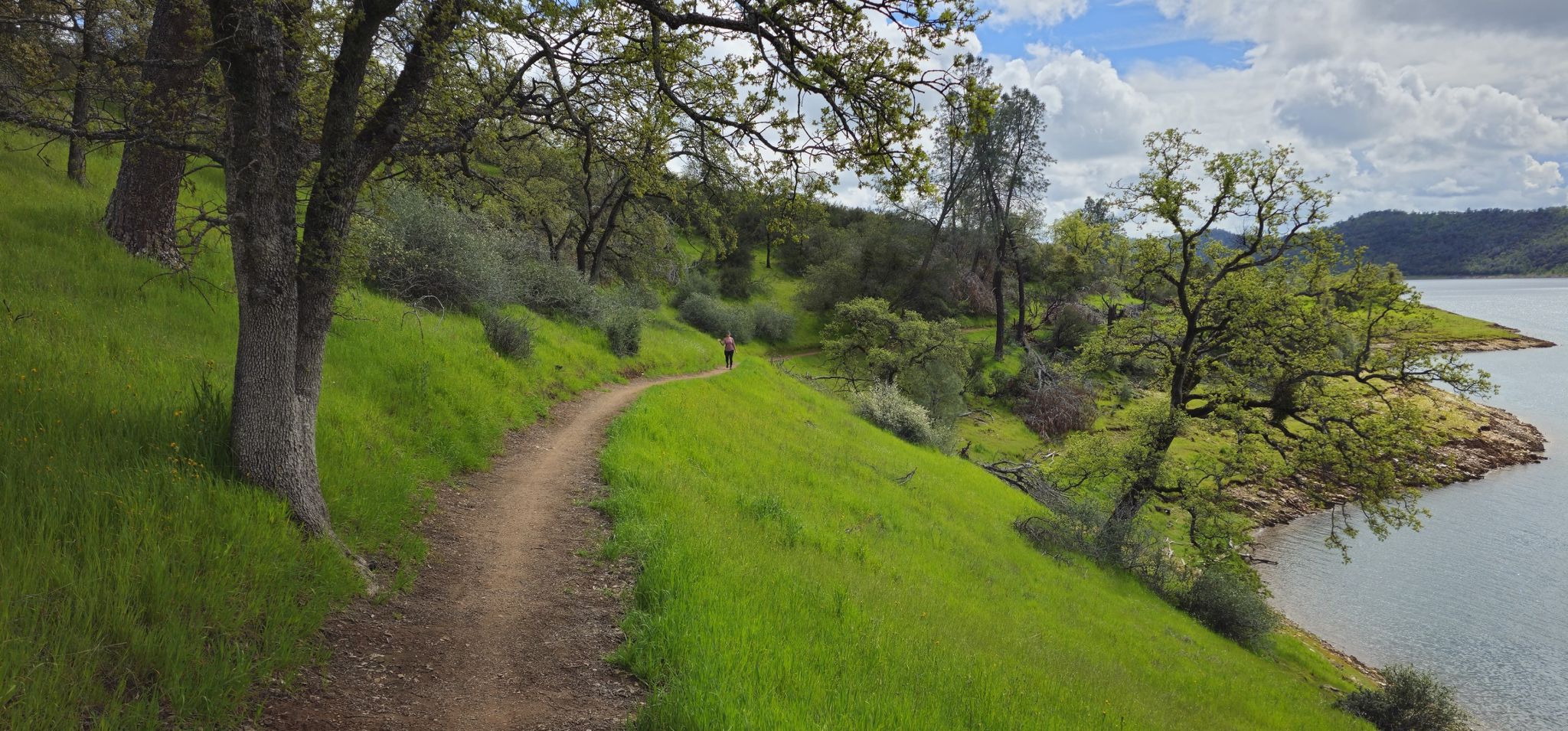 Person hiking on a dirt trail beside a lake under a partly cloudy sky. - Heron Point Loop