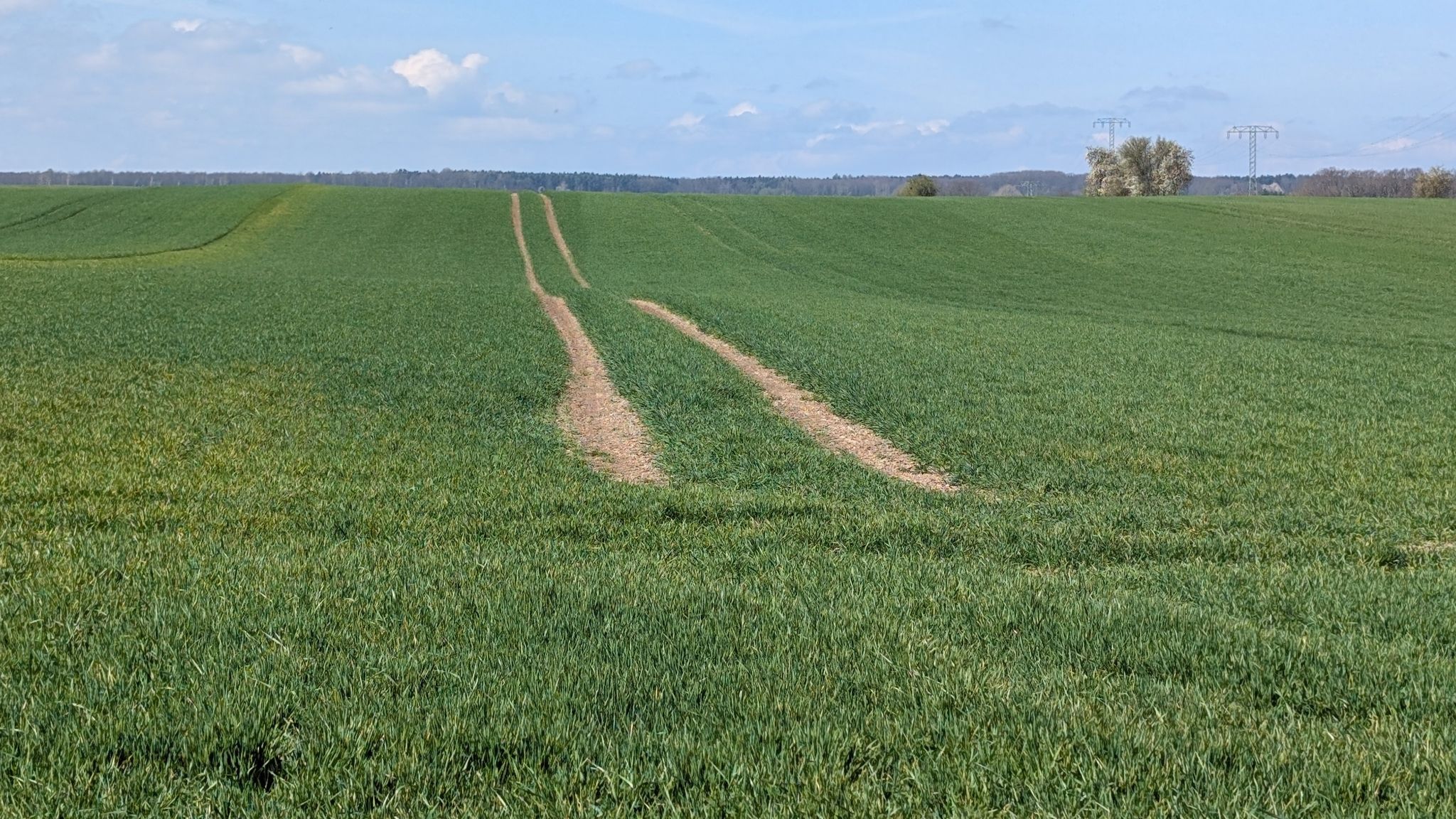 Ackerweg ohne Anbindung