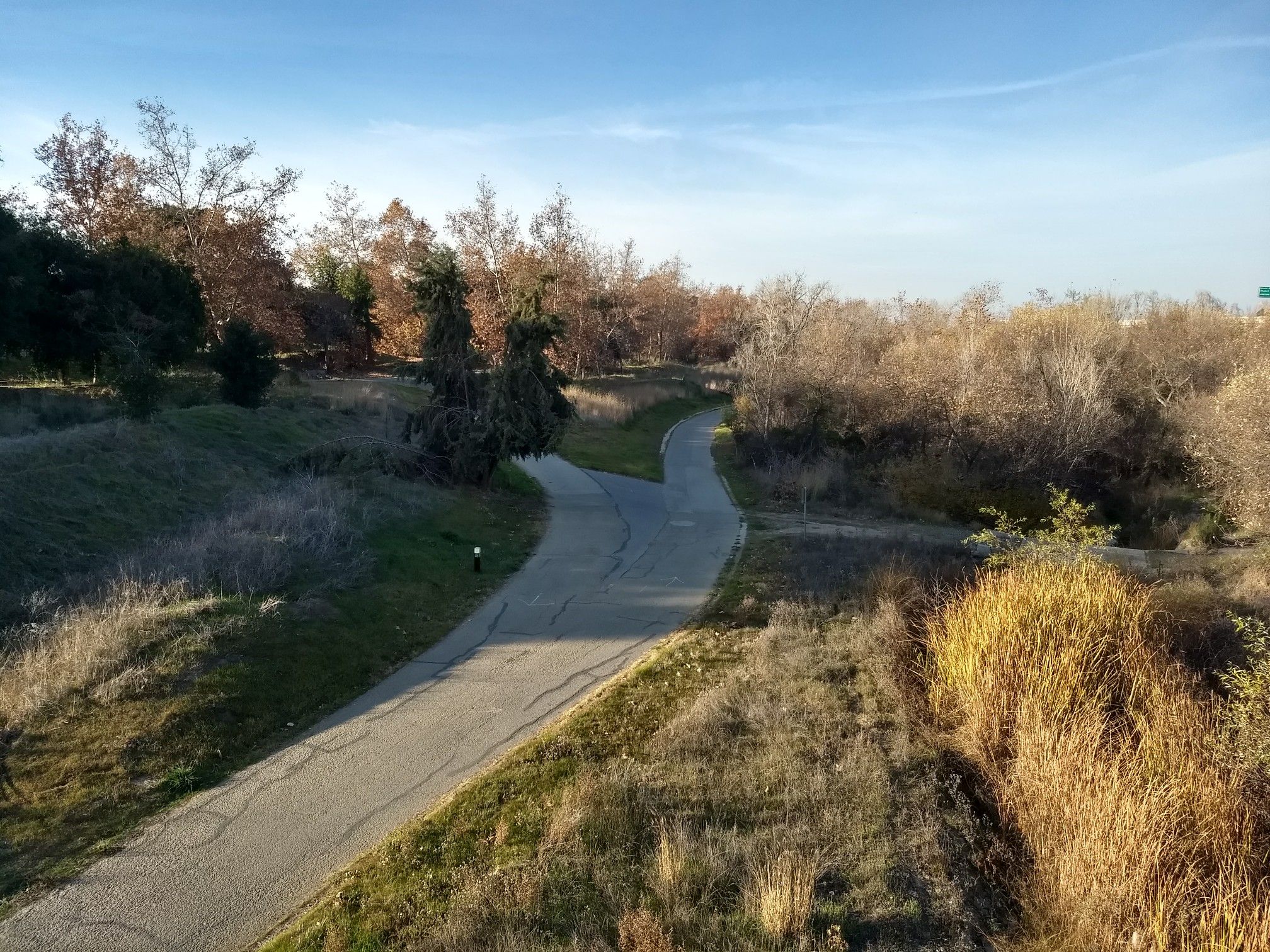 Sunny view of a paved path splitting into two, surrounded by dry vegetation. - Guadalupe River Trail