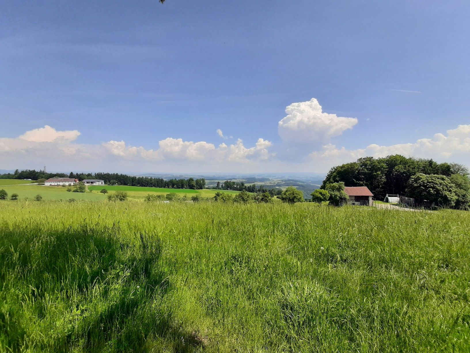 Mayrhoferberg, Stroheim