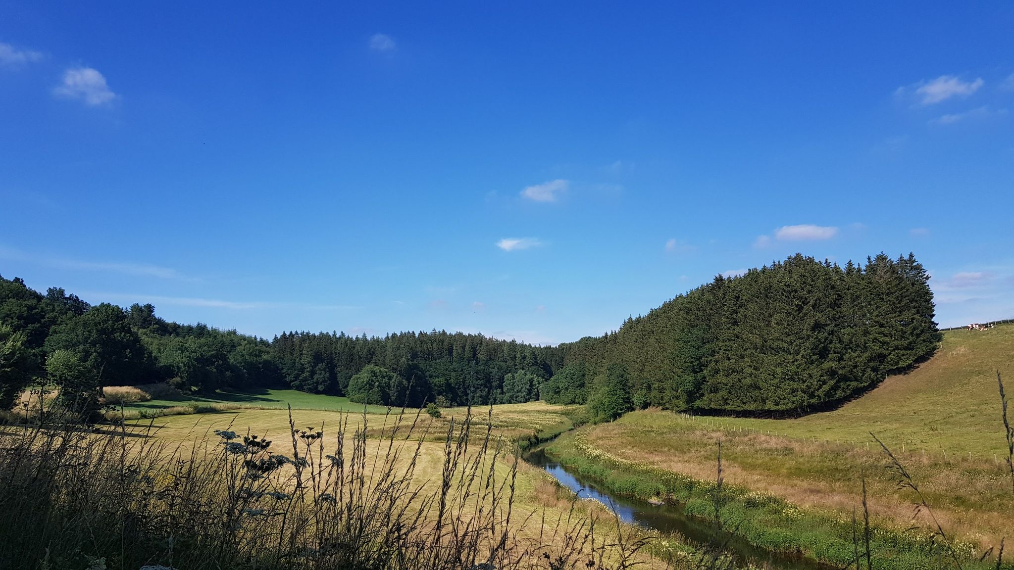 im Tal der Warche