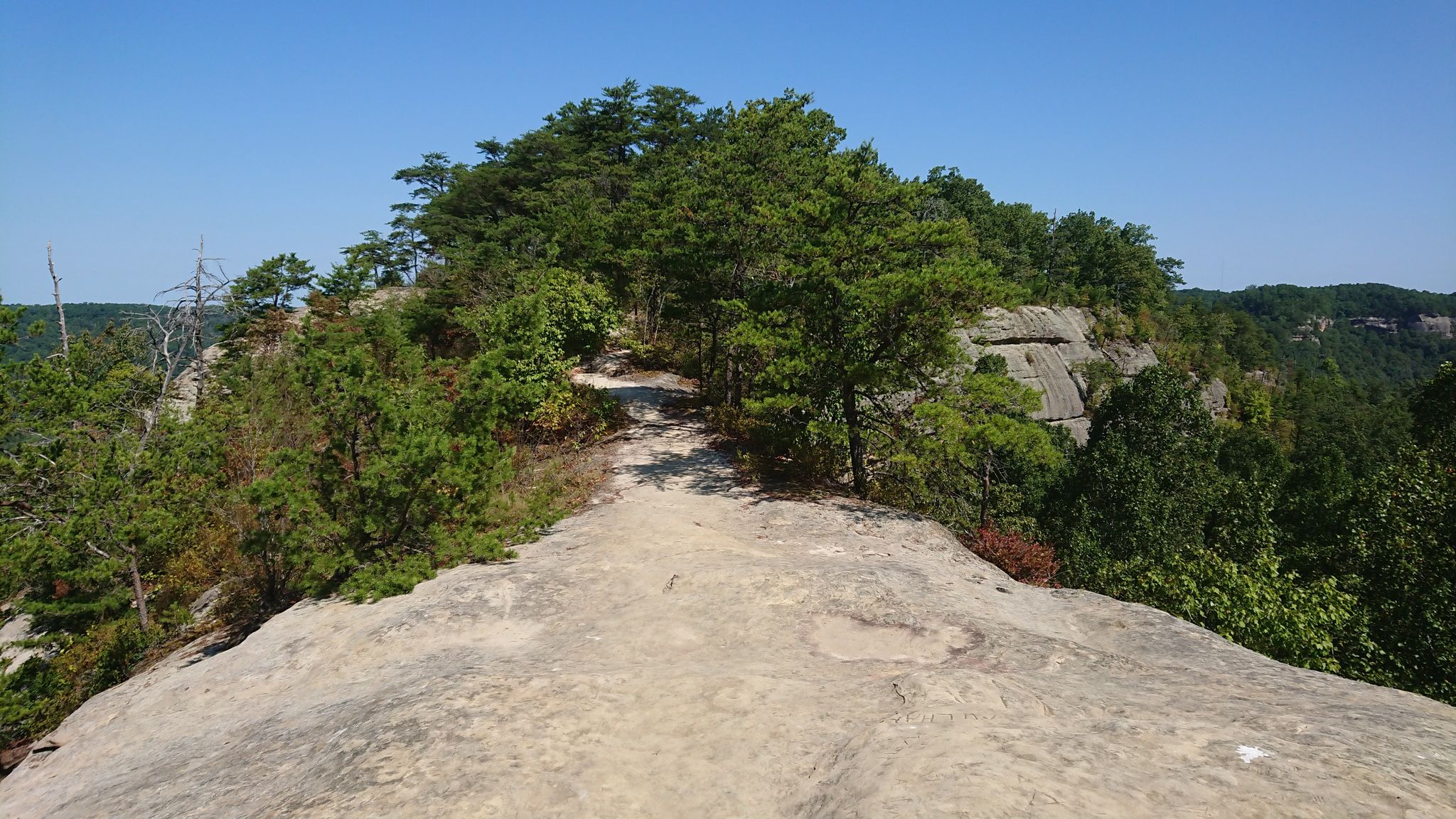 A wide rocky path leads into a sunlit forest on a clear day. - Auxier Ridge Trail to Courthouse Rock