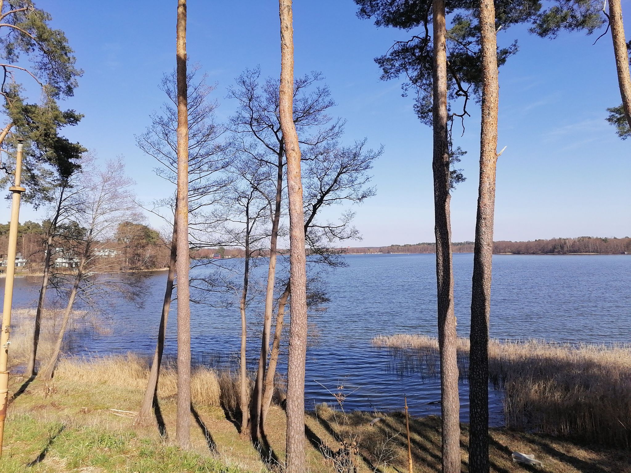 Lychensee