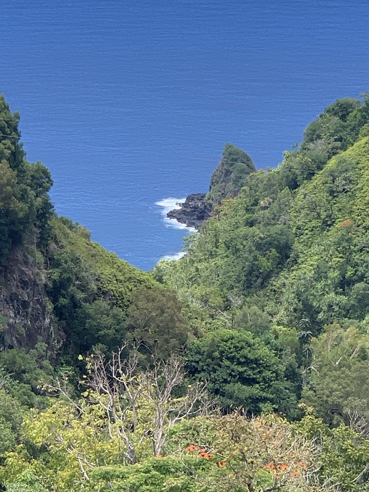 Lush green valleys frame a distant blue ocean with a rocky coastline. - Garden of Eden Trails