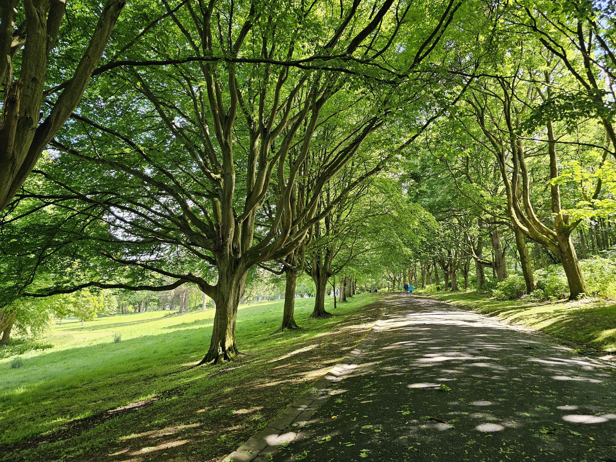 The roadway which circumnavigate the park: https://www.parkrun.org.uk/kirkcaldy/