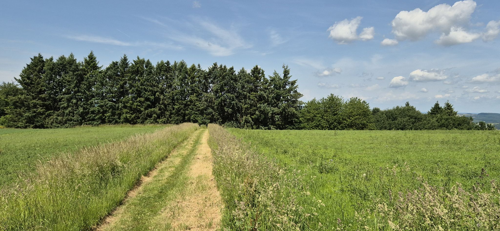 Abwechslungsreiche Wanderung