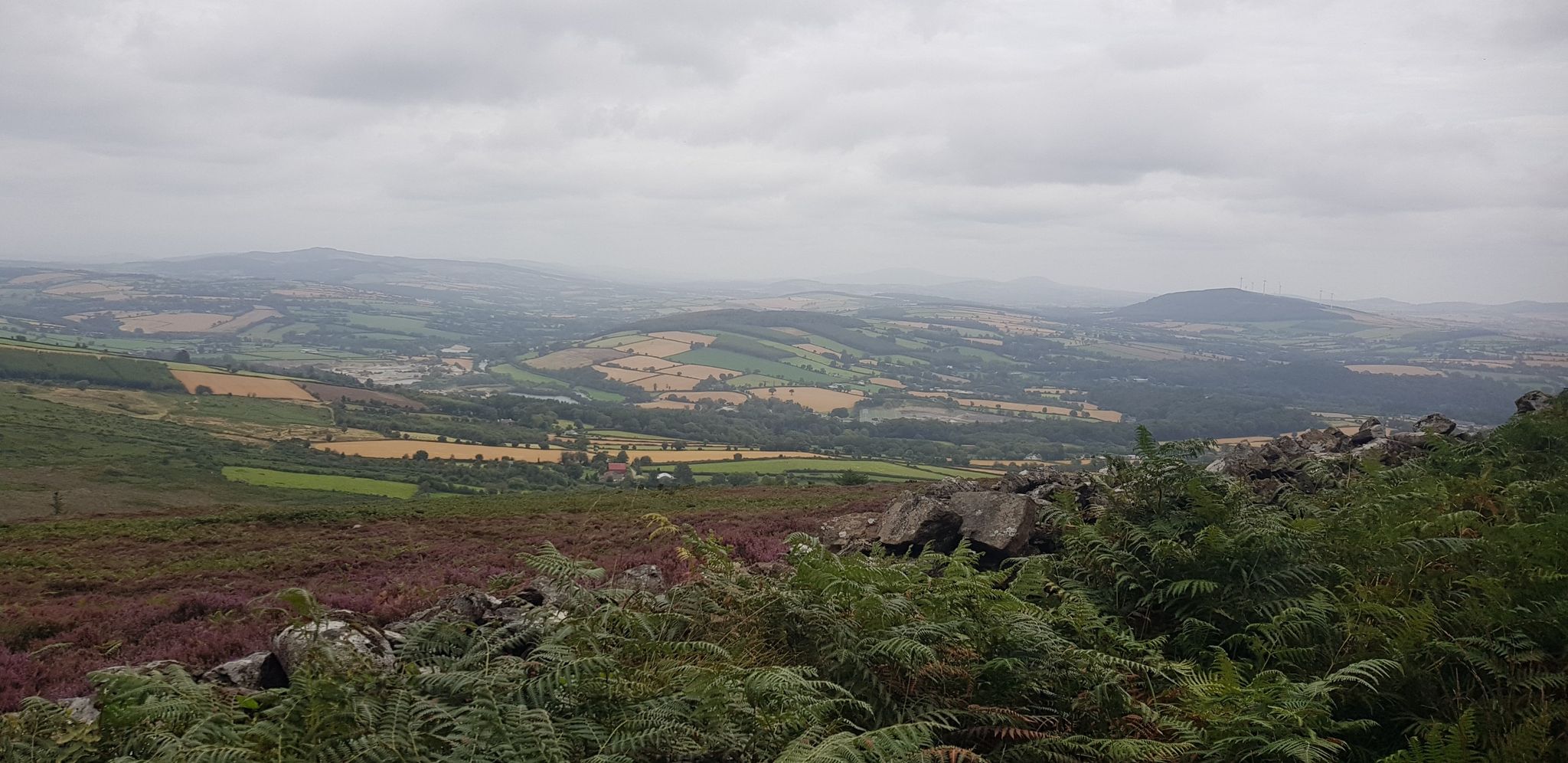 A Green and Pleasant Land