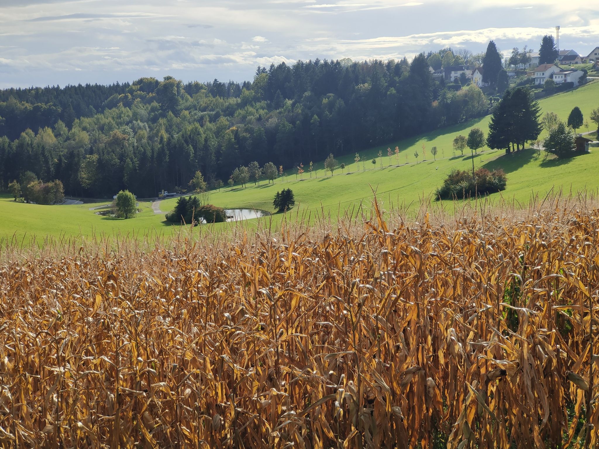 Blick auf 3 der fünf Seen