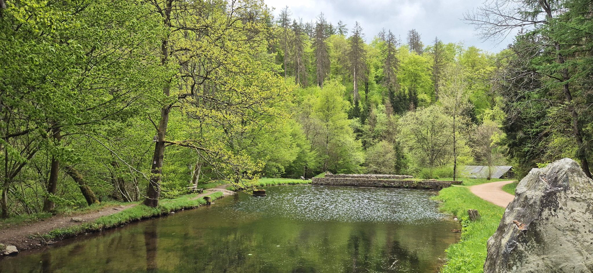 Stauweiher vorm Züscher Hammer