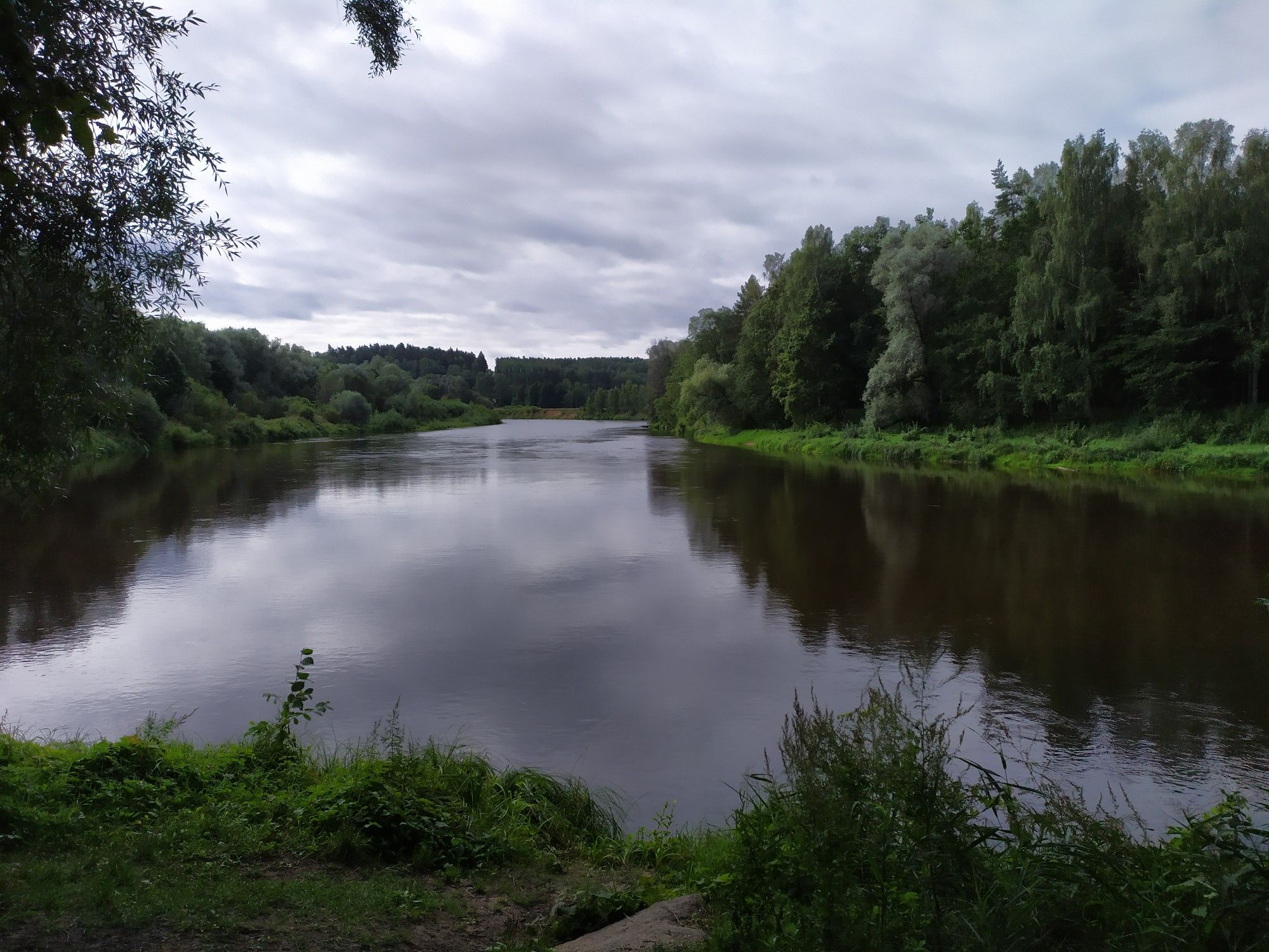 Gauja