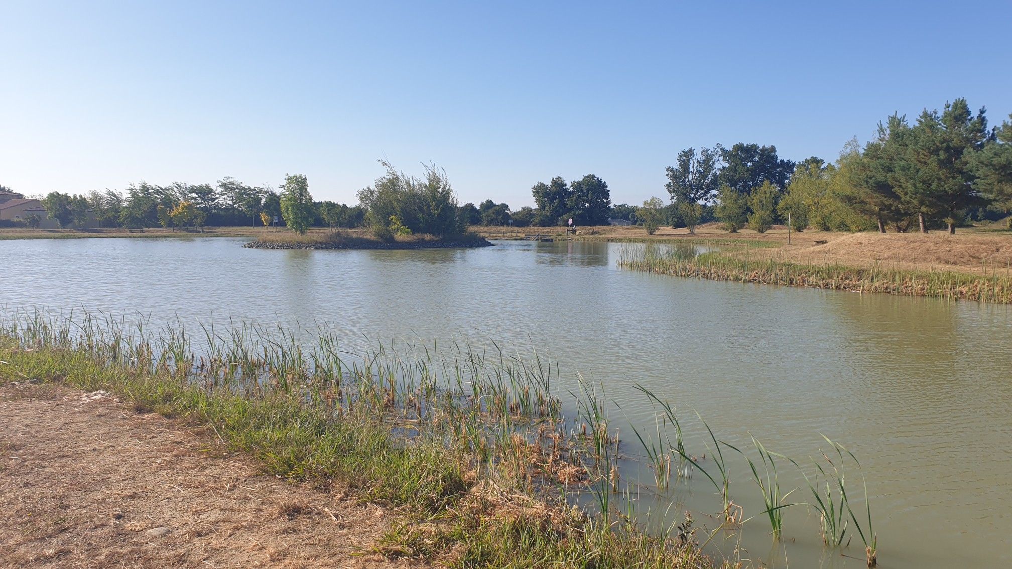 etang de Lespeche