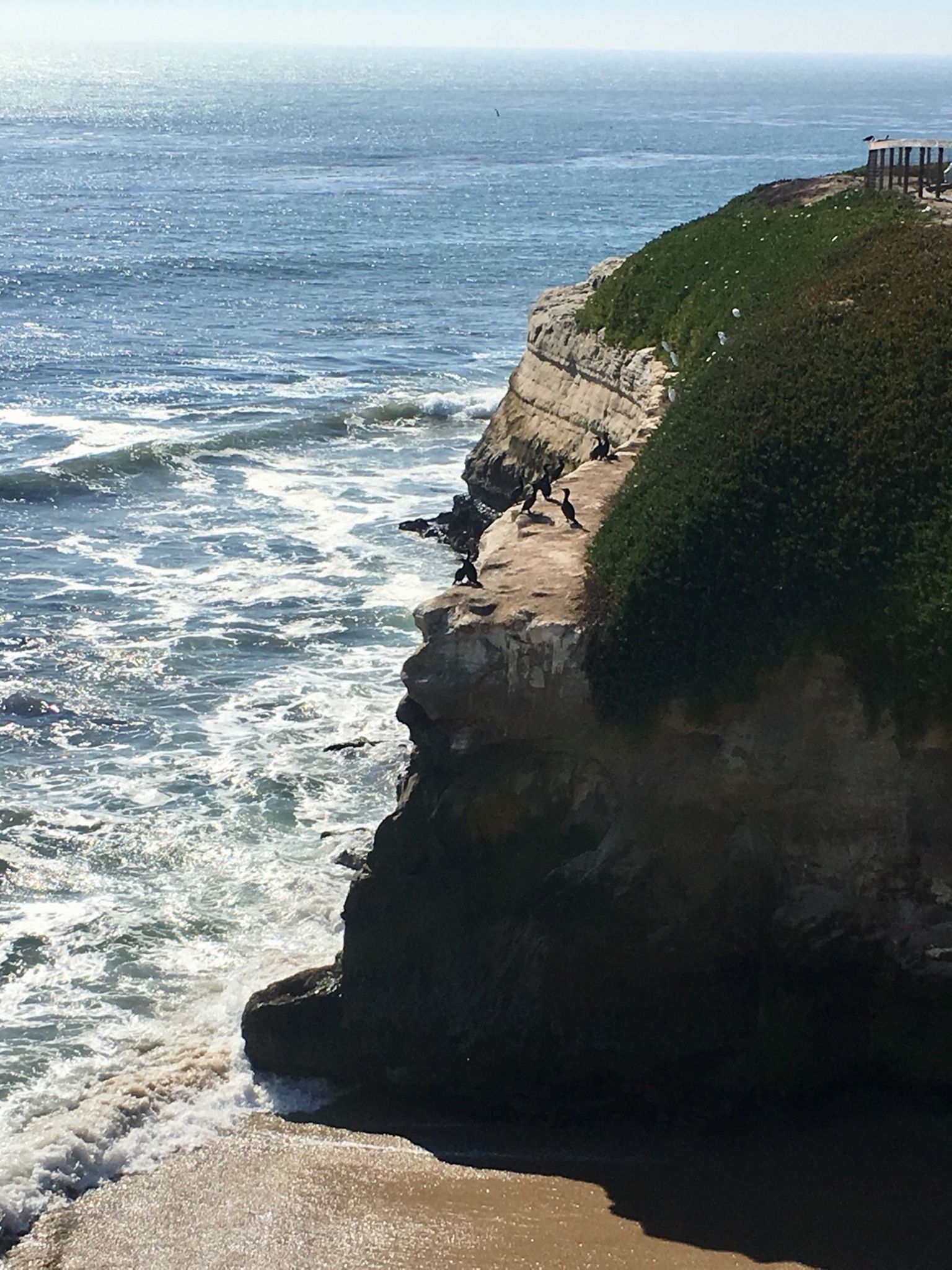 Ocean waves crashing against a steep, rocky cliff with birds. - Arroyo Seco Canyon loop from Moore Creek Wetland Natural Preserve