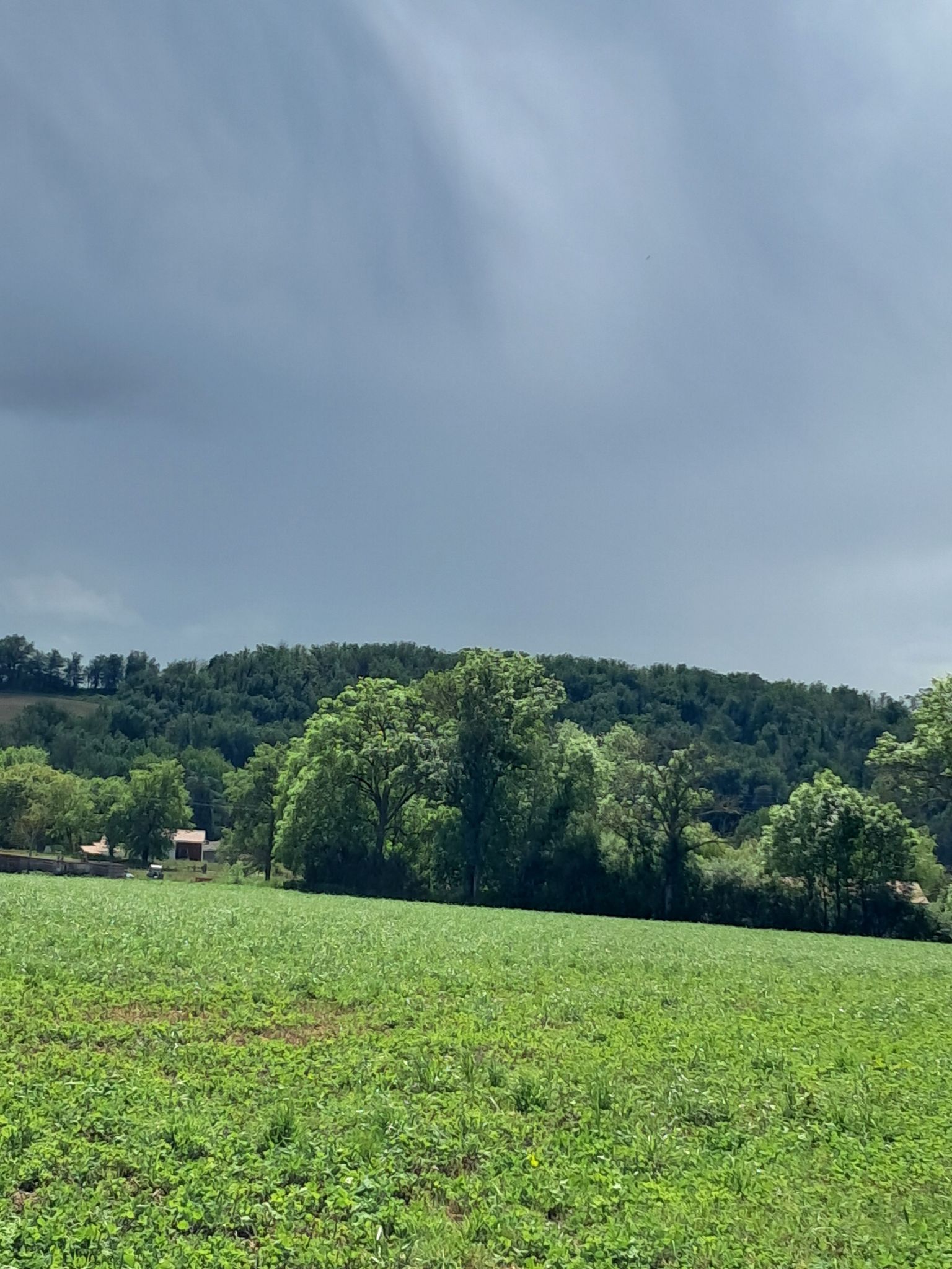 Il arrive !!! qui ? l orage !!!