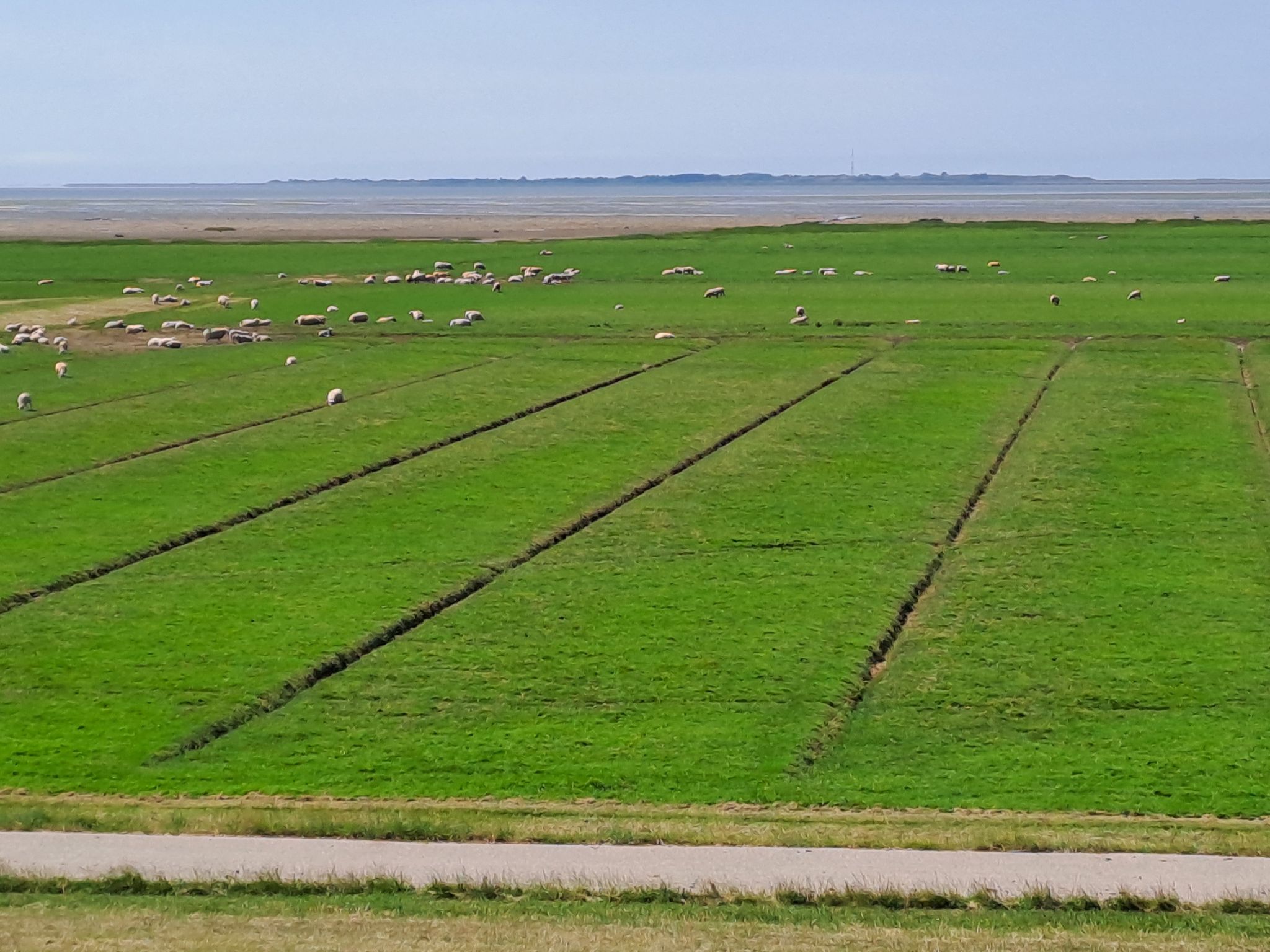 Wattenmeer zwischen Festland und Sylt