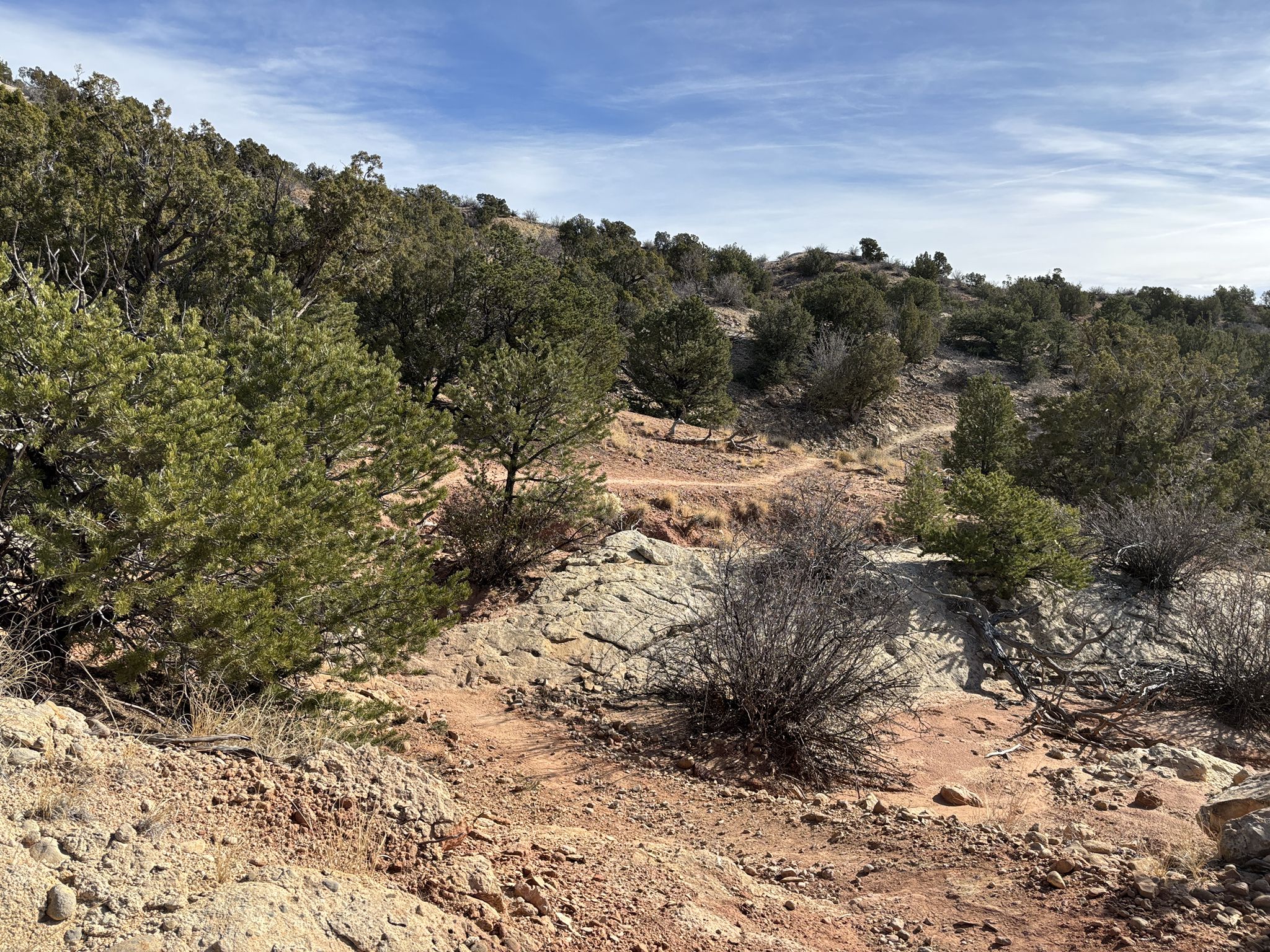 A winding dirt trail through a rocky, shrub-covered landscape under a bright, cloudy sky. - Galisteo Basin Preserve Loop