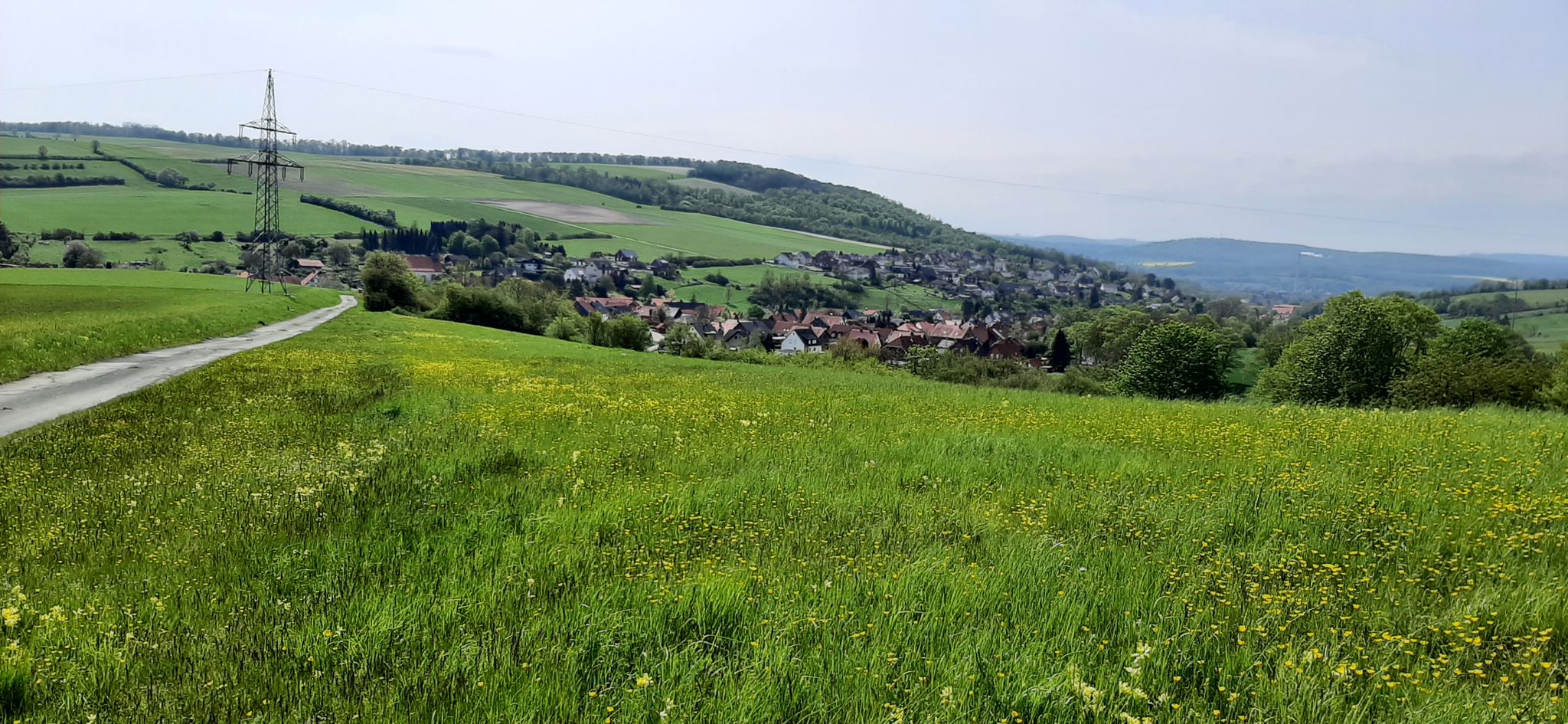 Hinauf zur Wernershöhe von Sack/Langenholzen