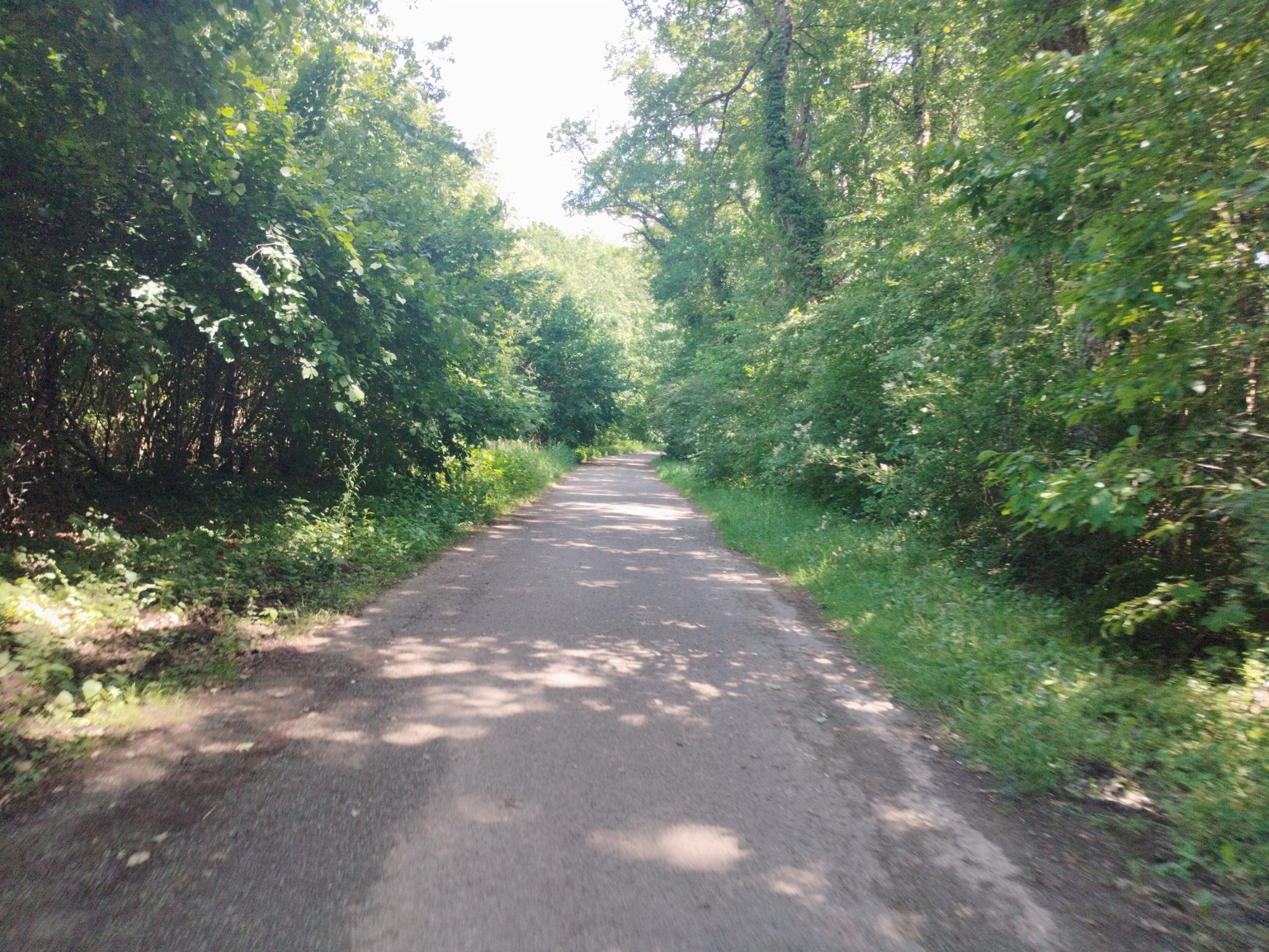 Radweg nach Douvaine