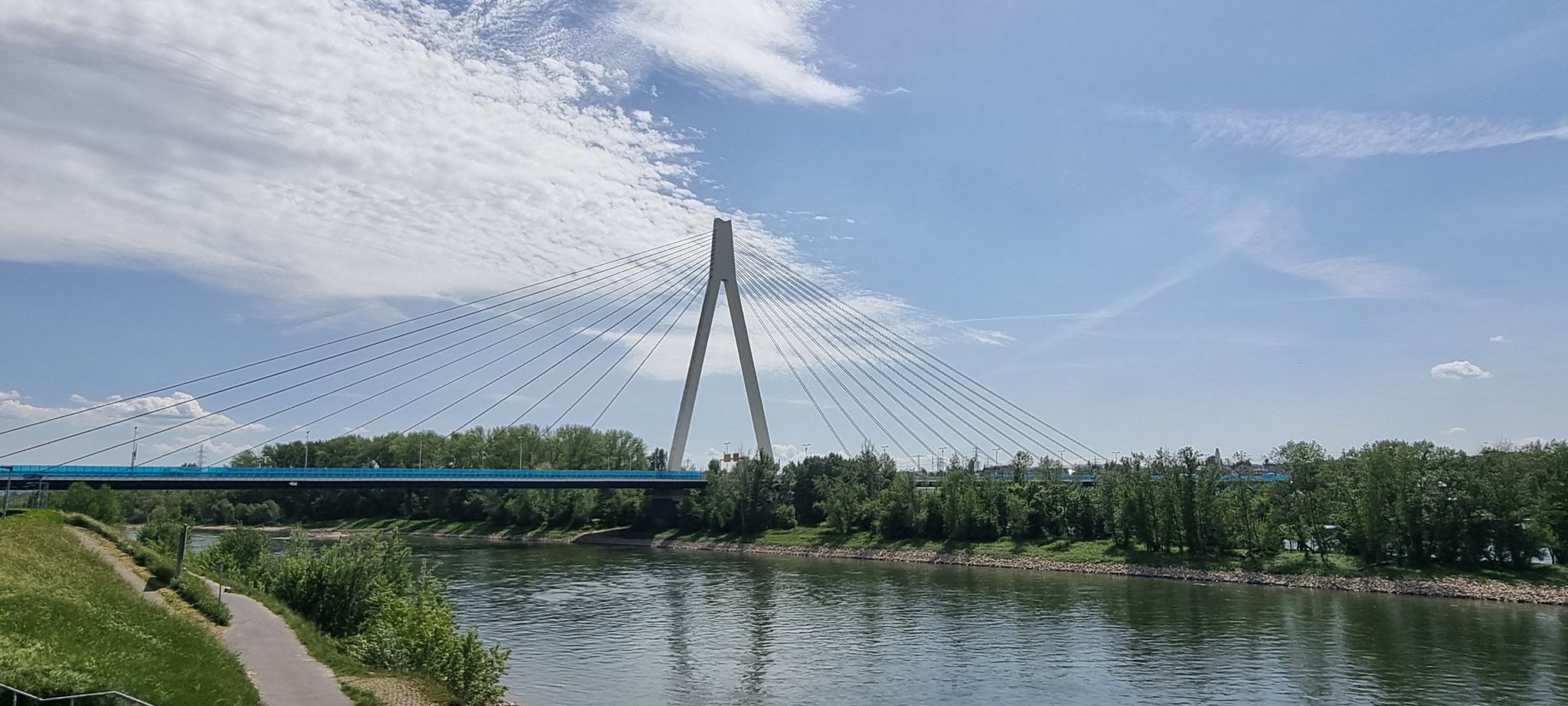 Blick auf die markante Rheinbrücke