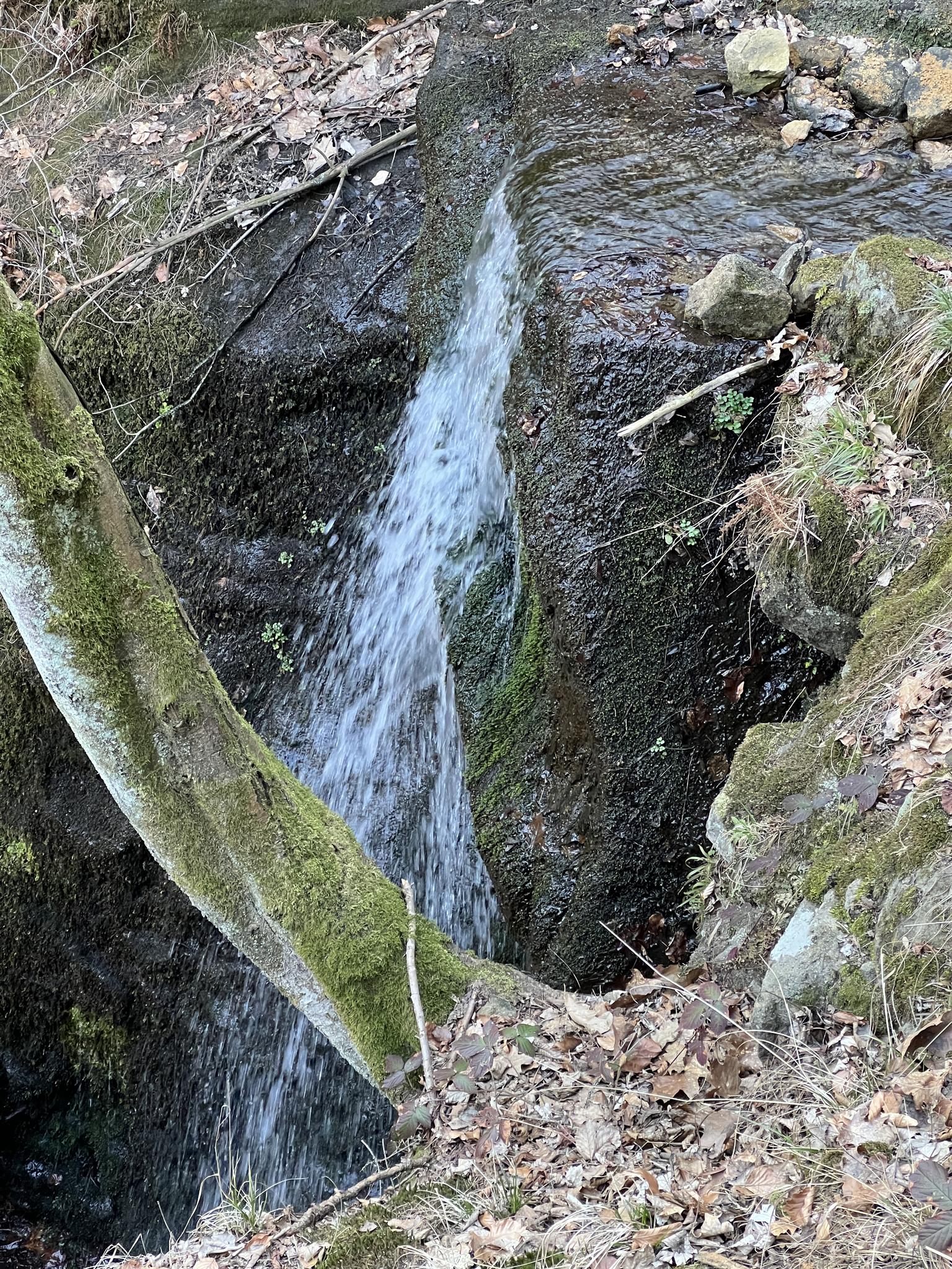 Beuthenfall