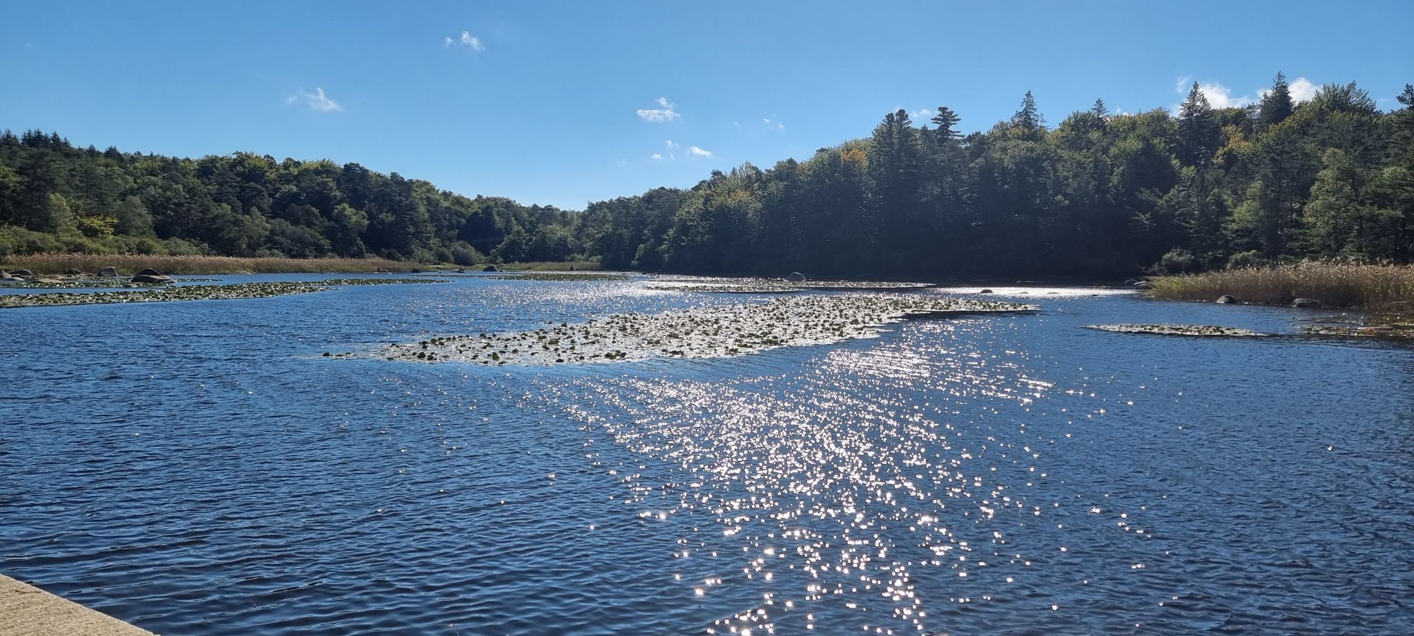 lac de merle