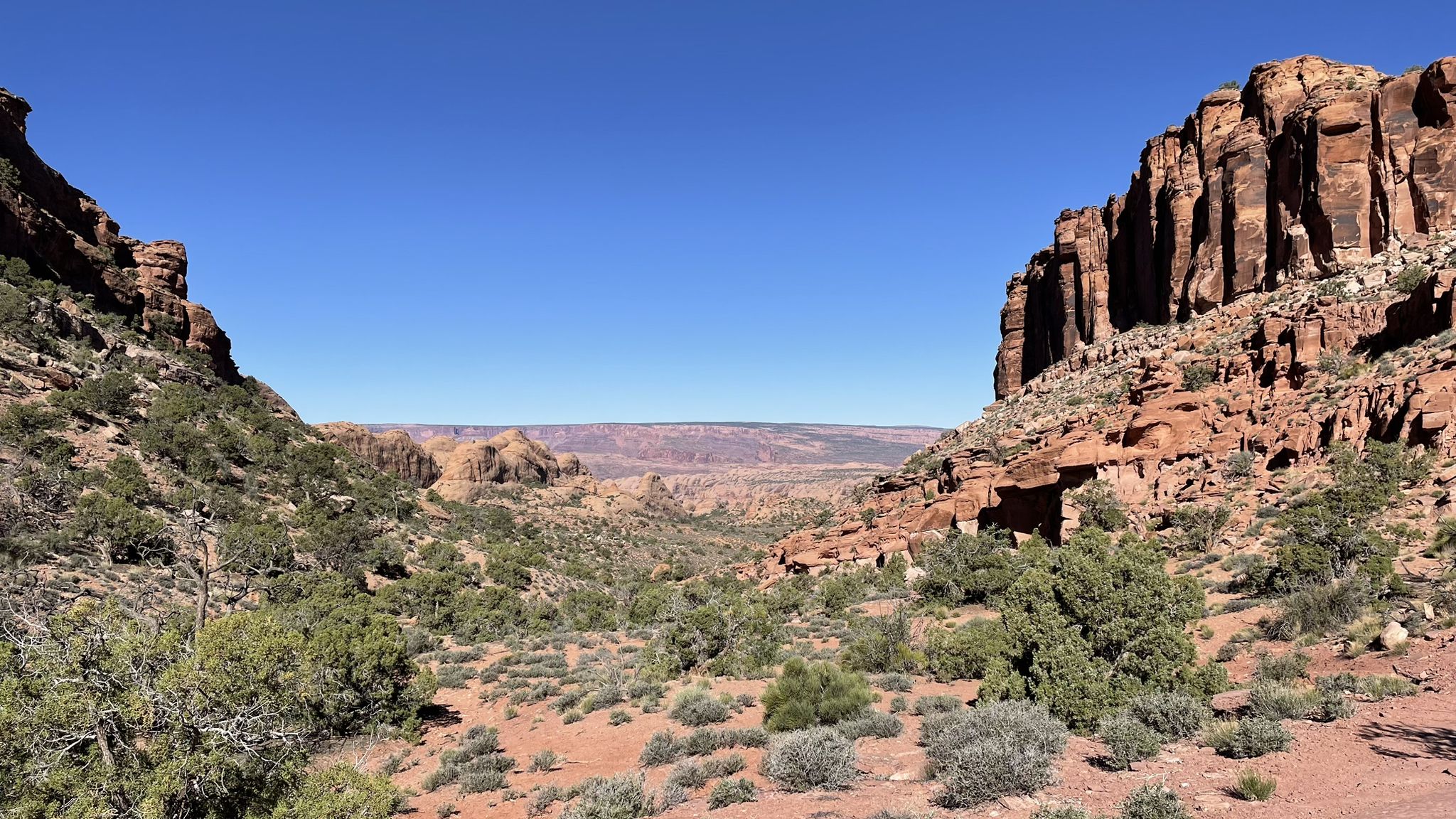 Deep canyon with towering red rock walls, green shrubs, and distant plains. - Hidden Valley Trail