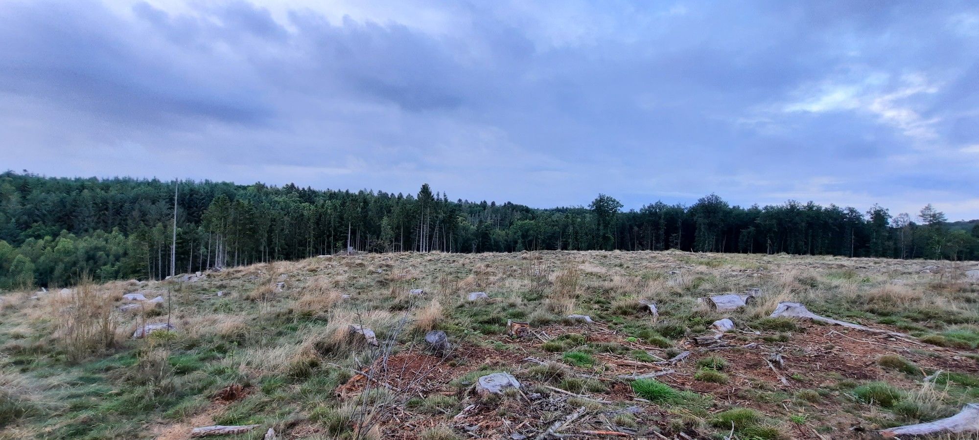 unbewaldete "Hochebene"