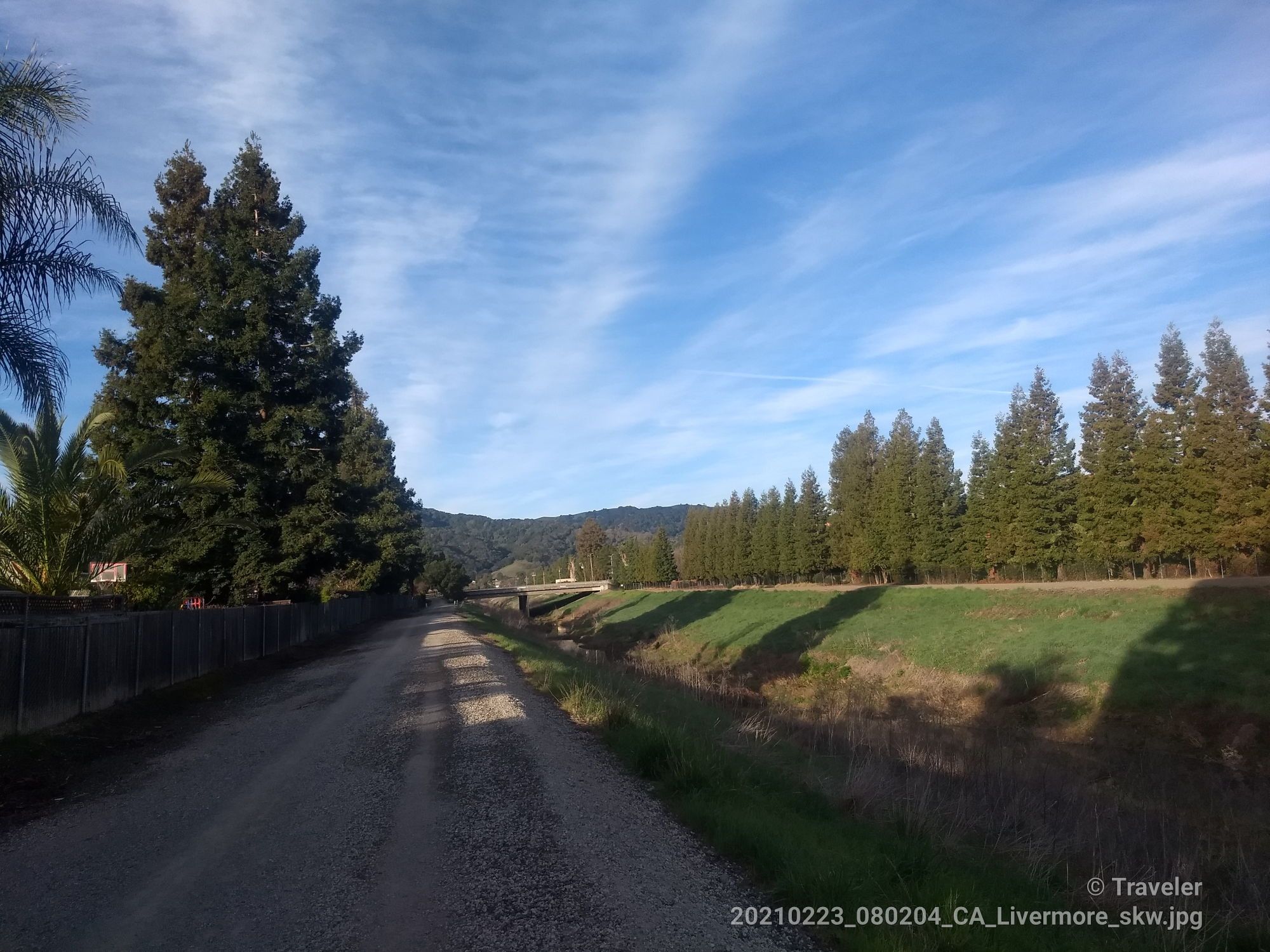 A dirt road next to tall evergreen trees and green fields under a blue sky. - Arroyo Mocho Trail – Arroyo Mocho Trail loop from West Dublin/Pleasanton