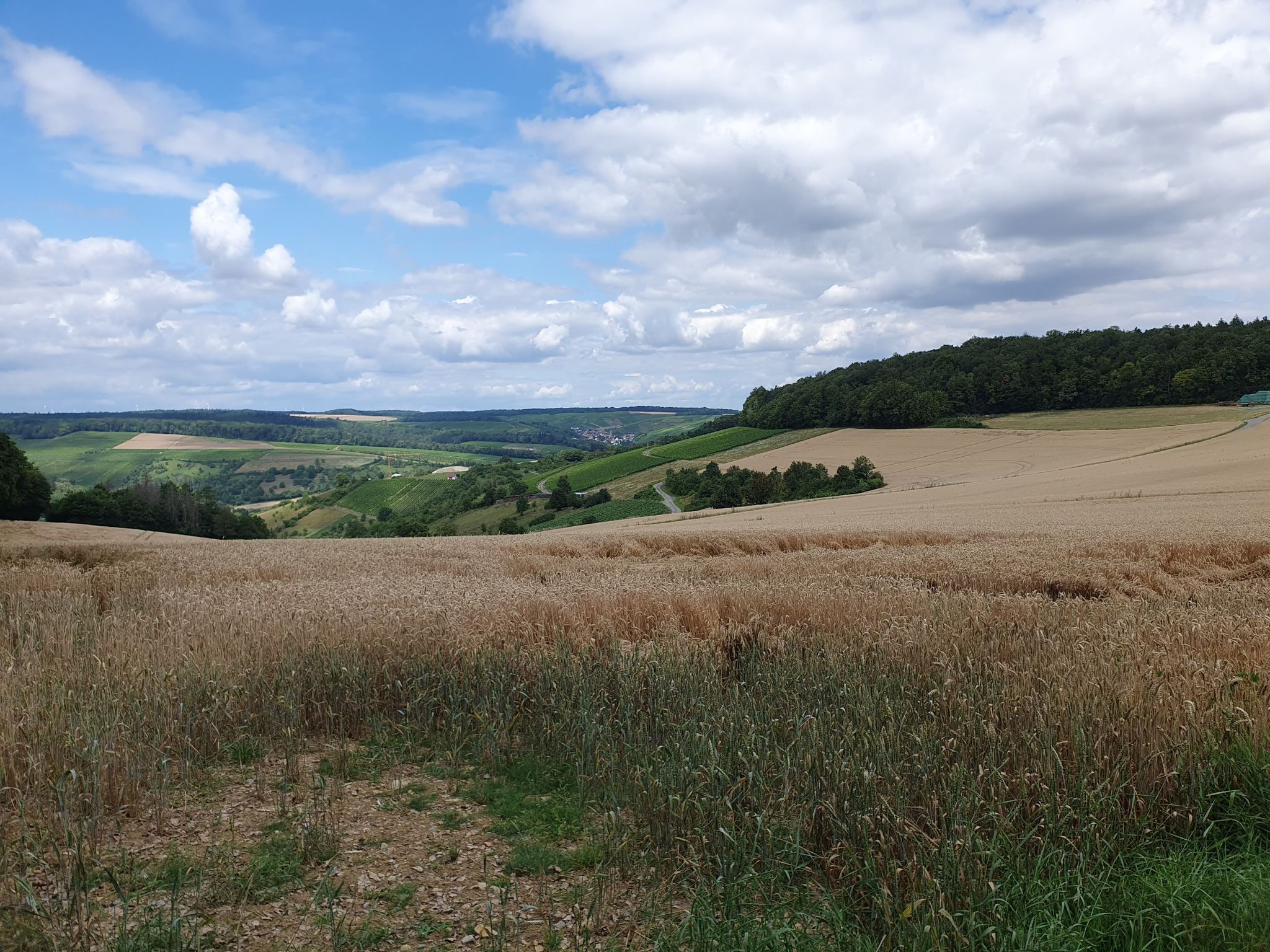 Blick Richtung Sachsenflur