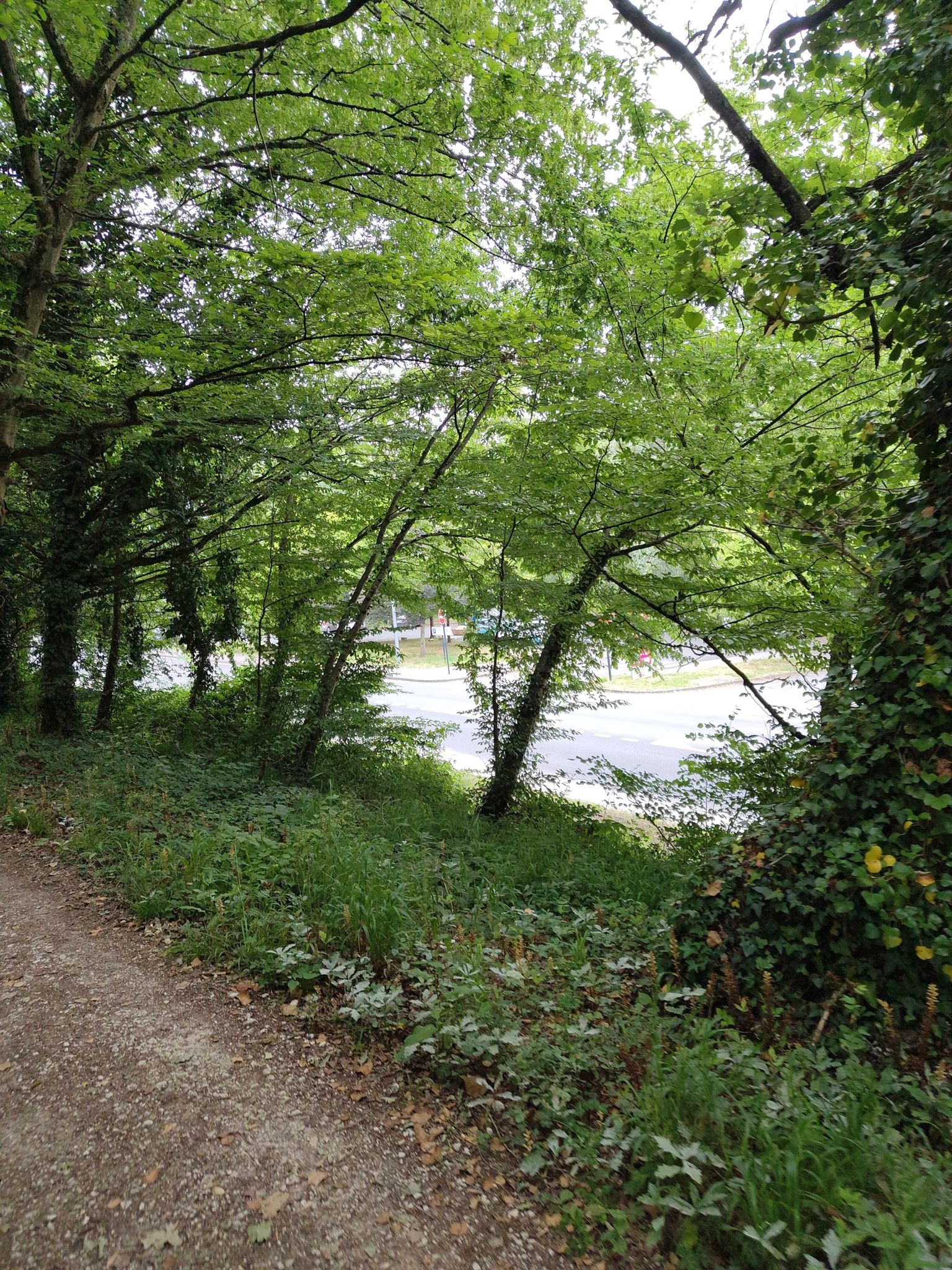 Route qui borde le parc 