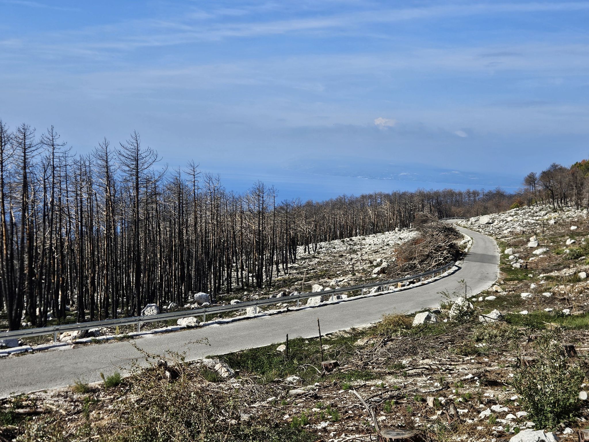 Leider viele Spuren von Waldbränden :-(