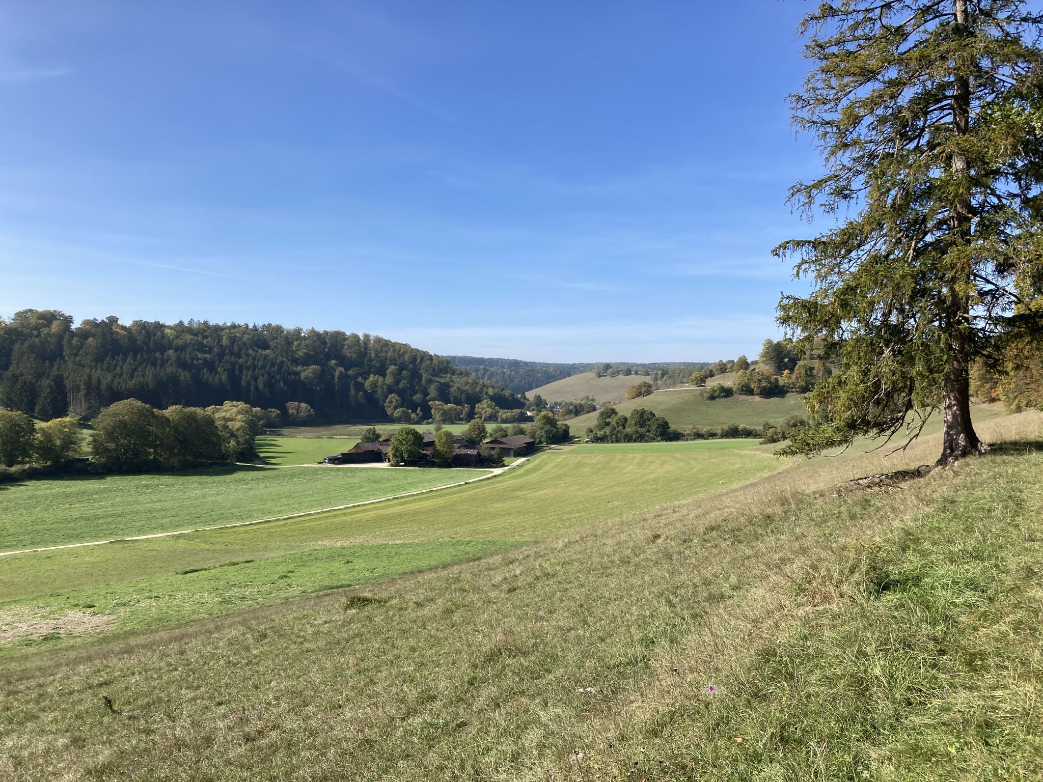 Blick ins Schambachtal