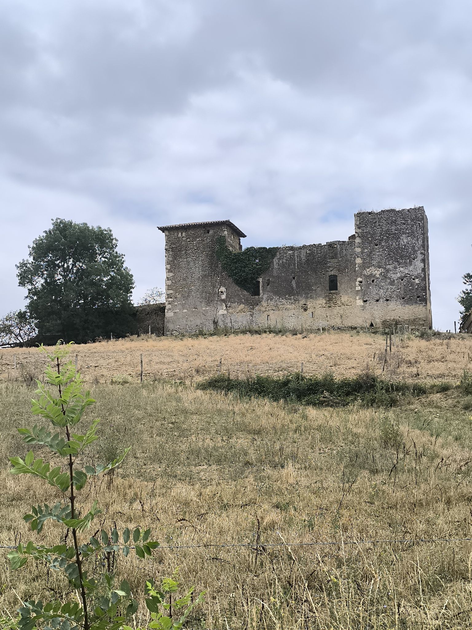 Laumède