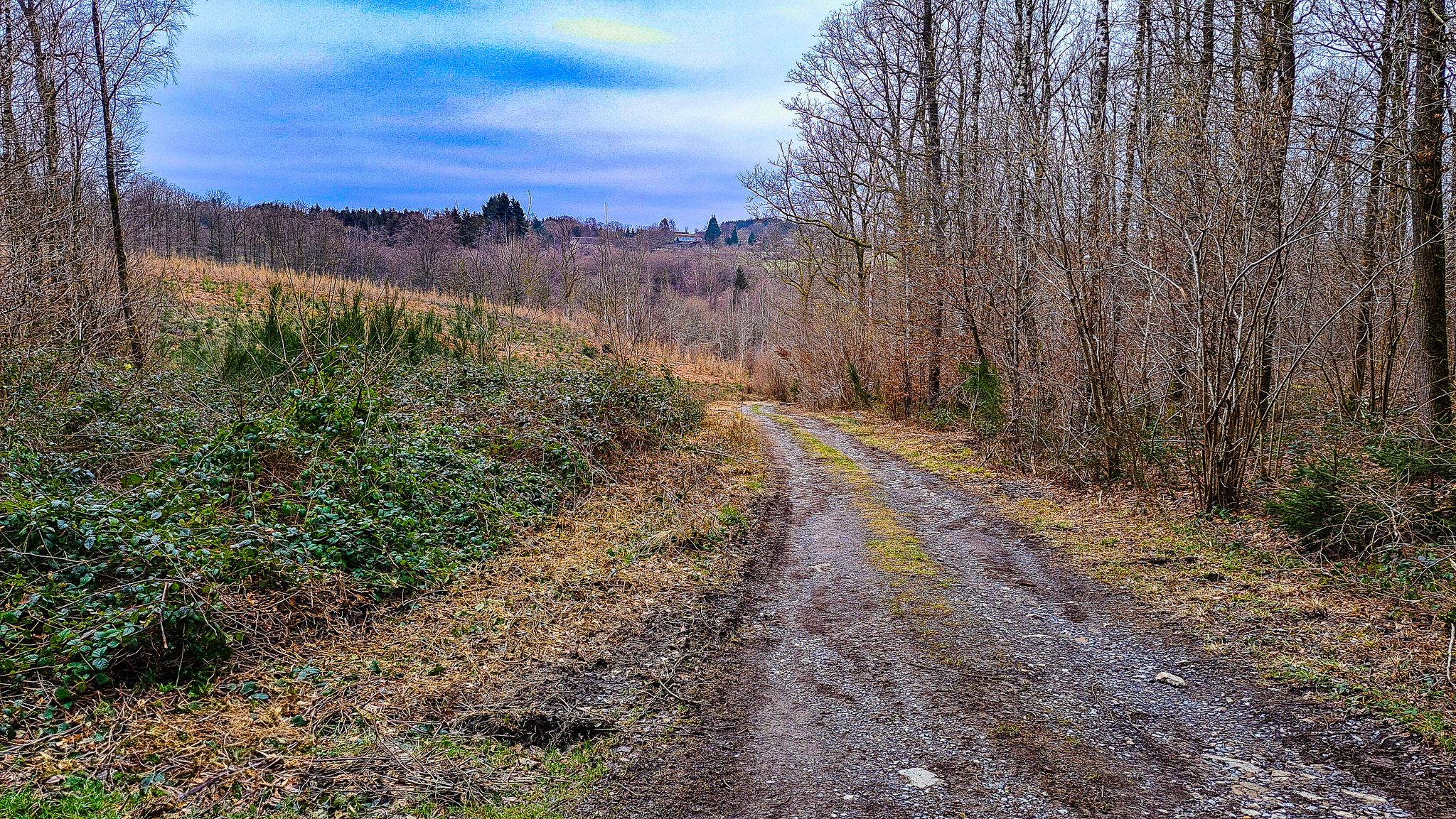 Panorama L'Alliest