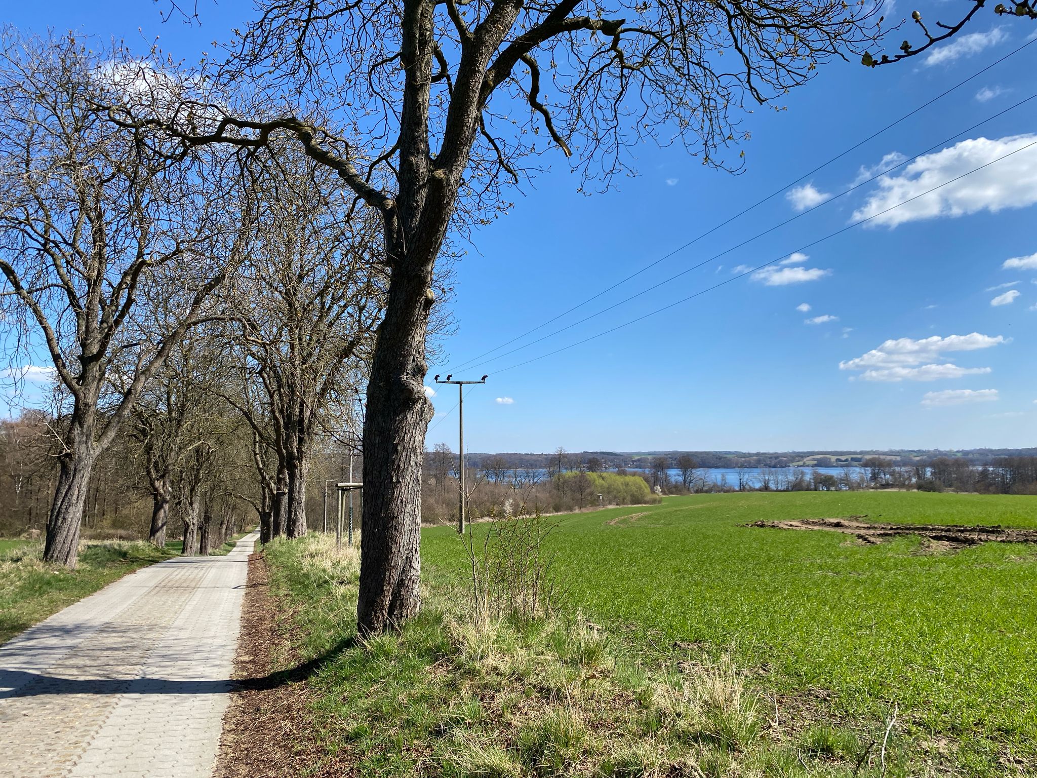 hinter Alt Rehse geht es wieder runter zum Tollensesee