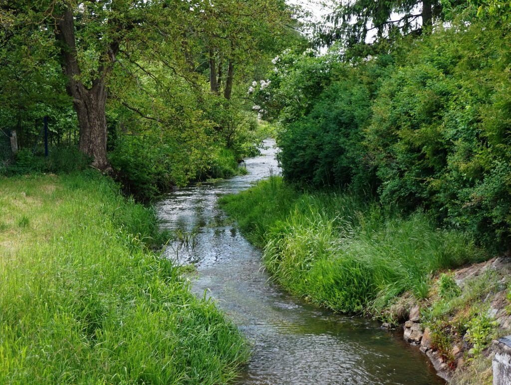 Stepenitz zwischen Krempendorf und Stolpe
