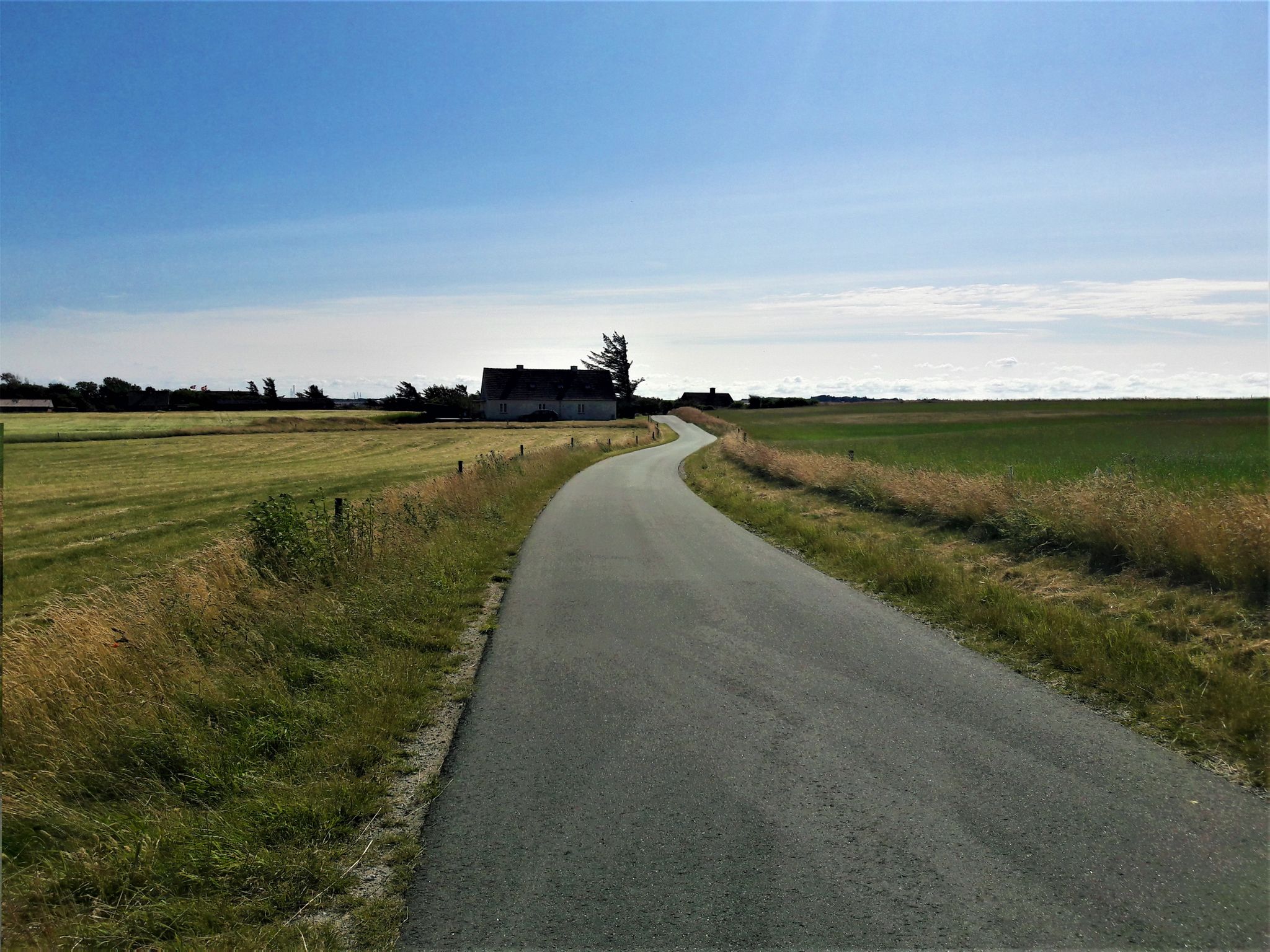 ... gelangten wir zur Straße