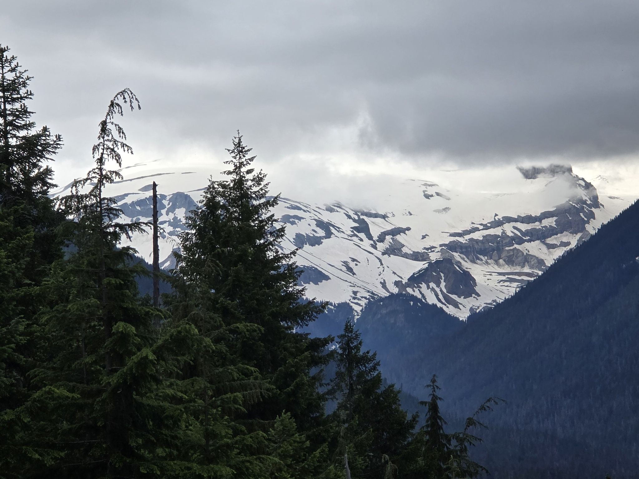 Dark evergreen trees frame a view of snow-covered mountains under a cloudy sky. - Cayuse Pass – White River Campground loop from Silver Springs Sno-Park