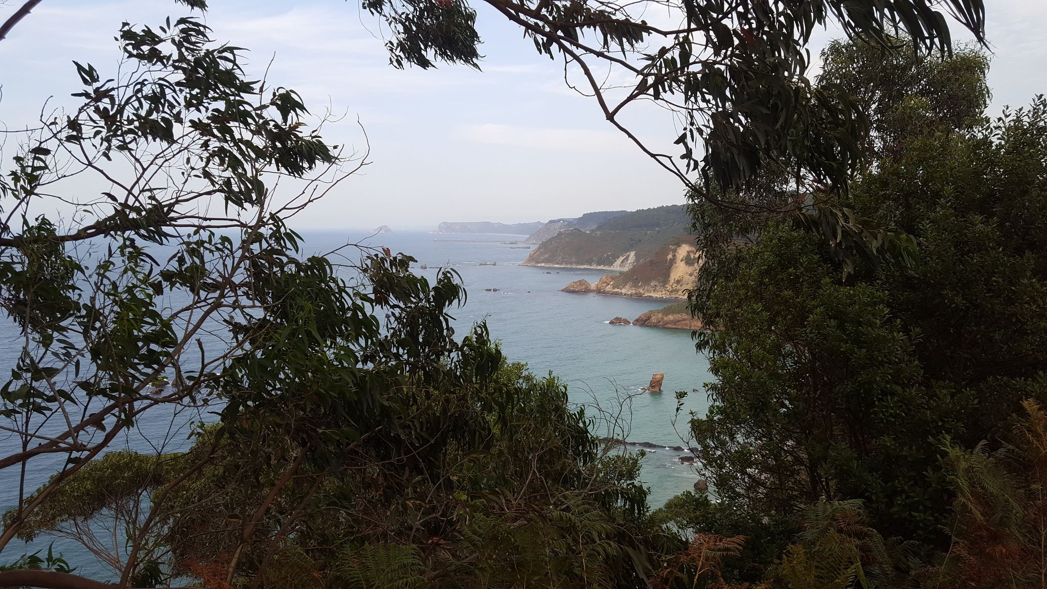 Vista of the coast line