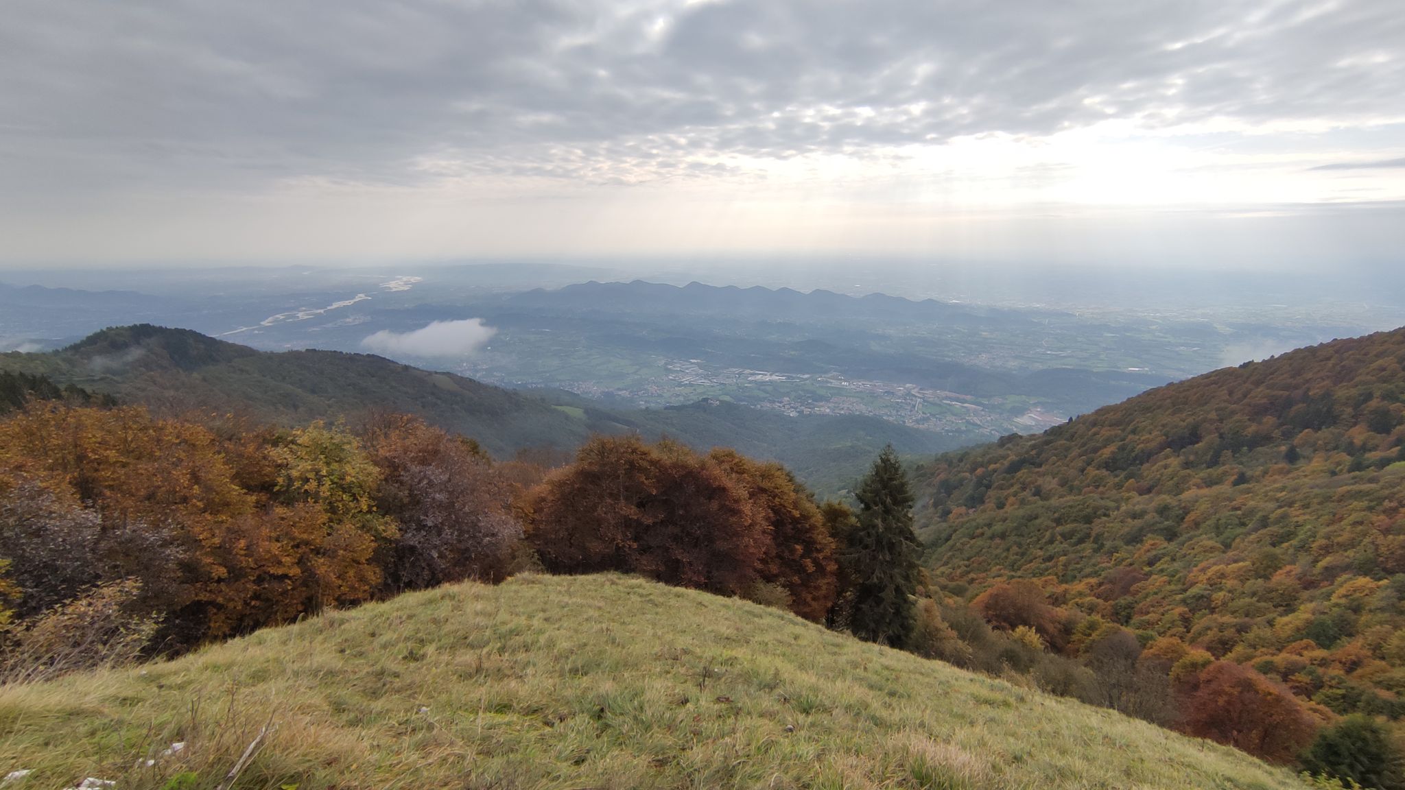 1290slm - Il "coccodrillo" dei Colli Asolani, Maserini e Cornudesi